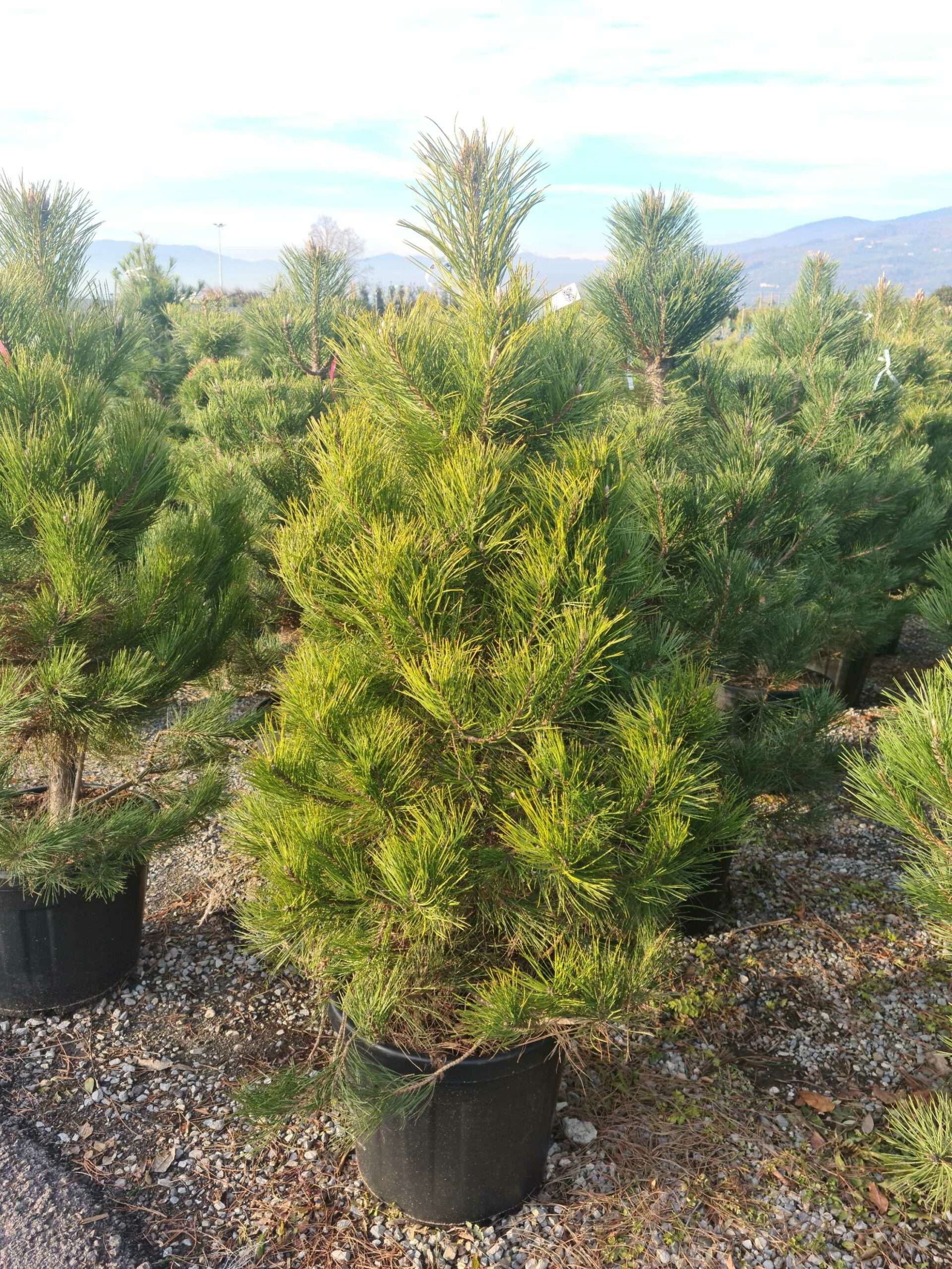 1639491020 scaled bd683424