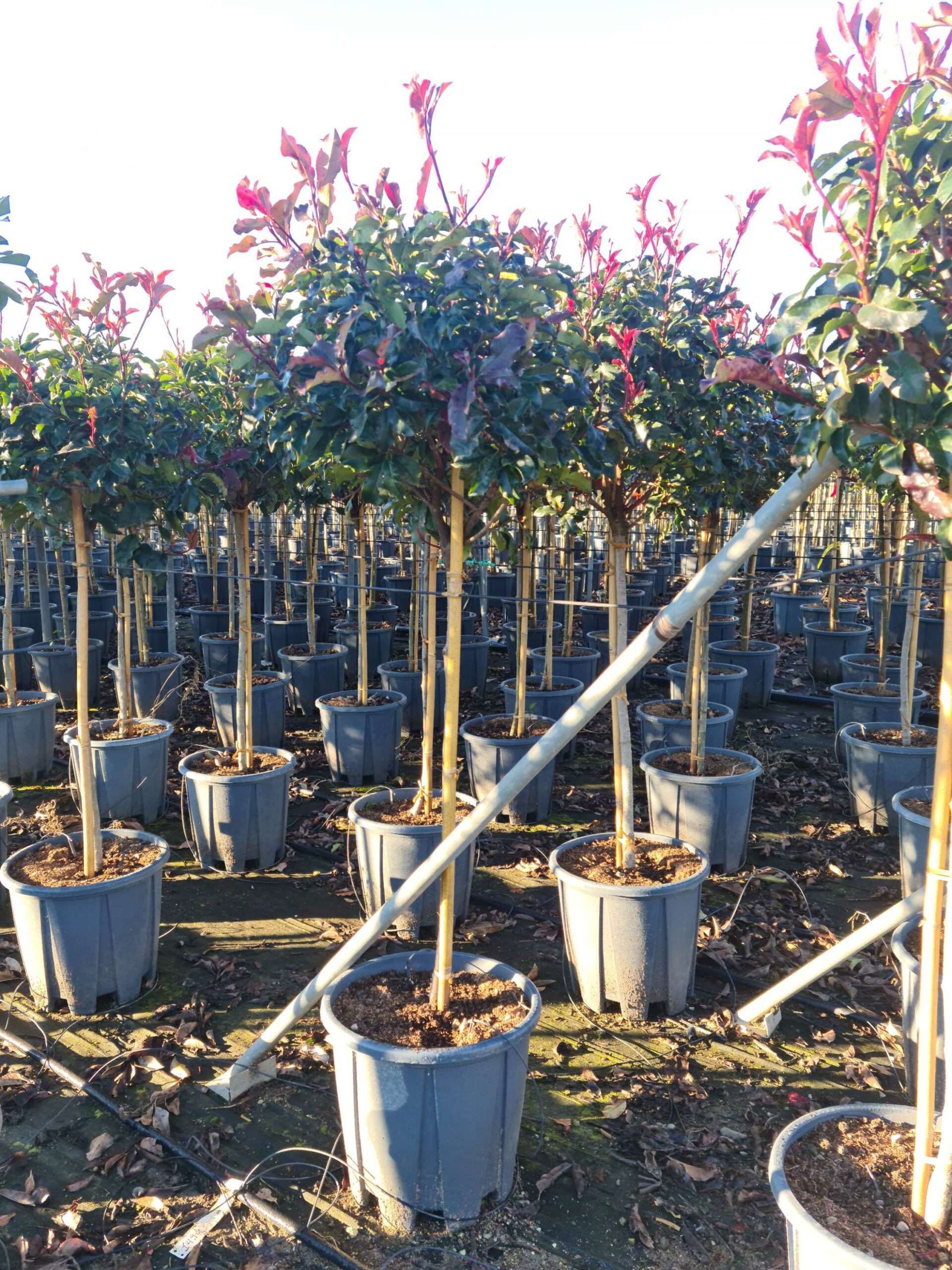 1639642427 scaled bd3fb6ae