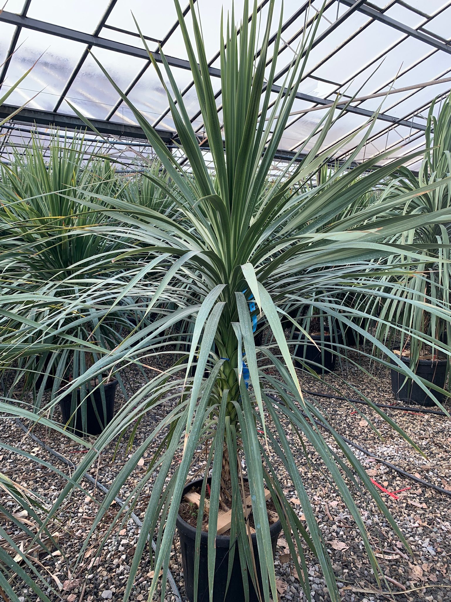 1642786603 017af8e1115efbdeffc4f7e357a7b4ce9104d6b0b6 bd939a0f