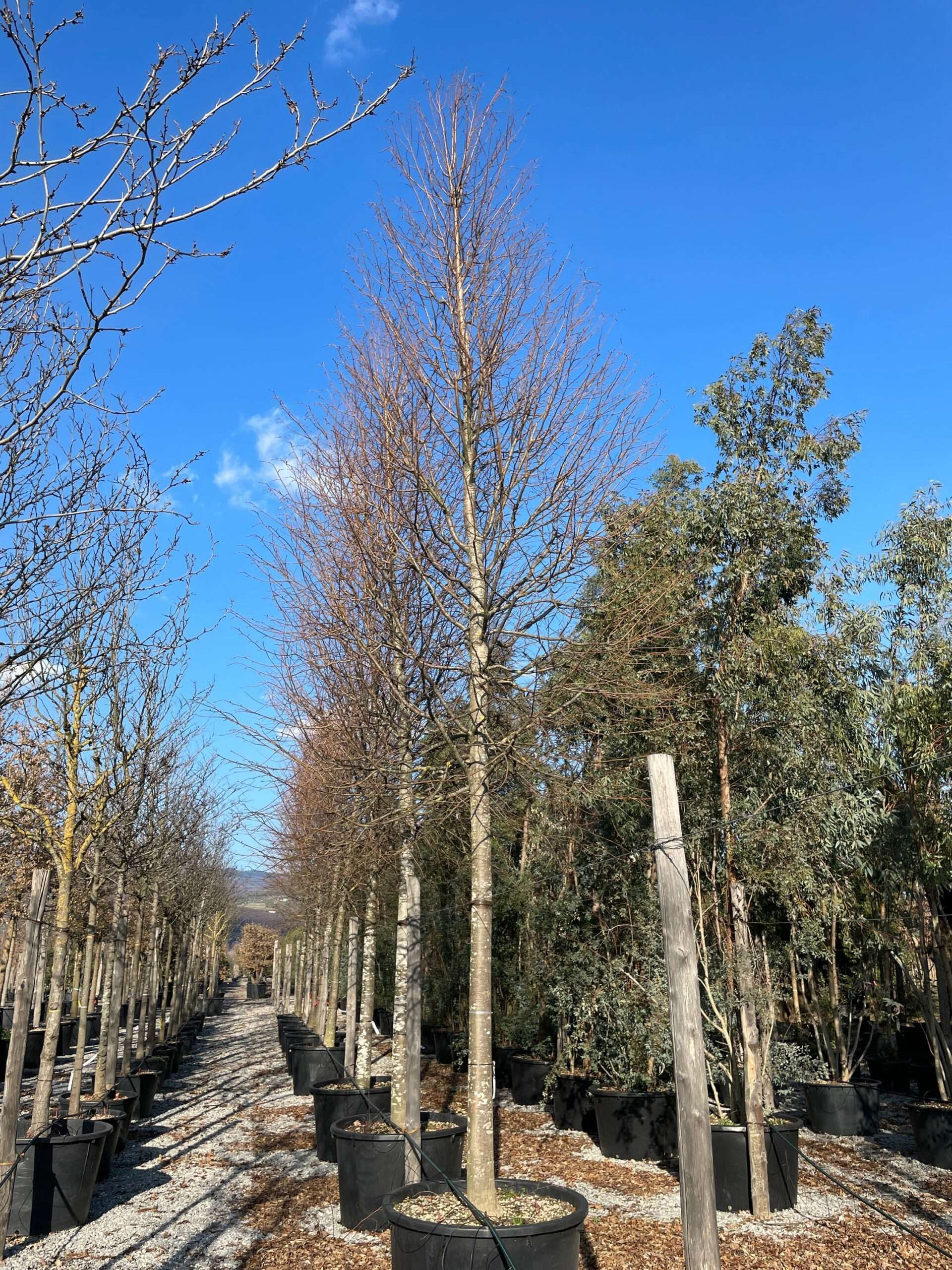 1644242677 scaled bdb56dad