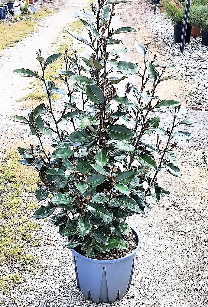 1650527546 PHOTO 2022 04 11 06 46 53 bd045b49