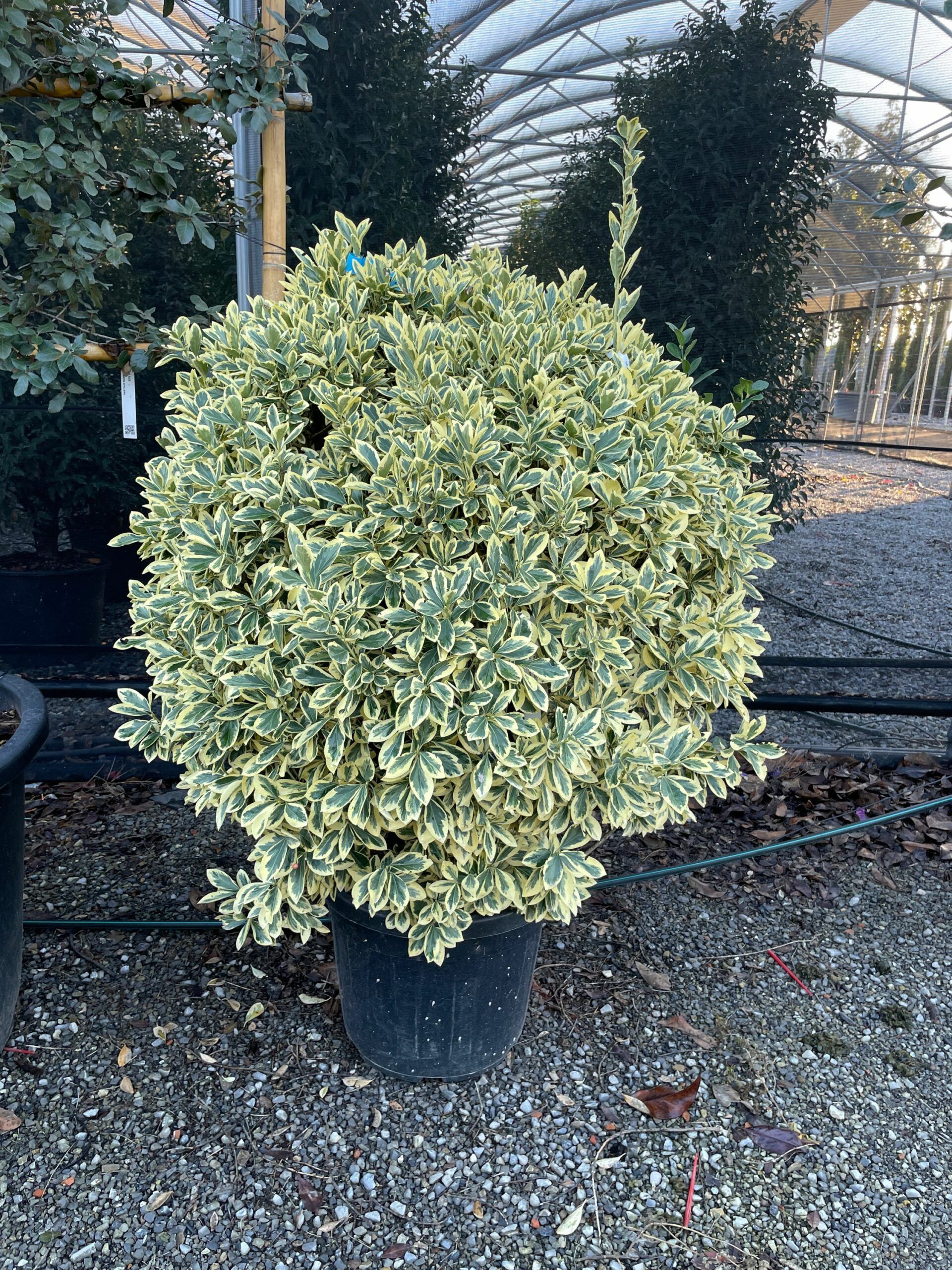 1669214149 scaled bd76ba3a