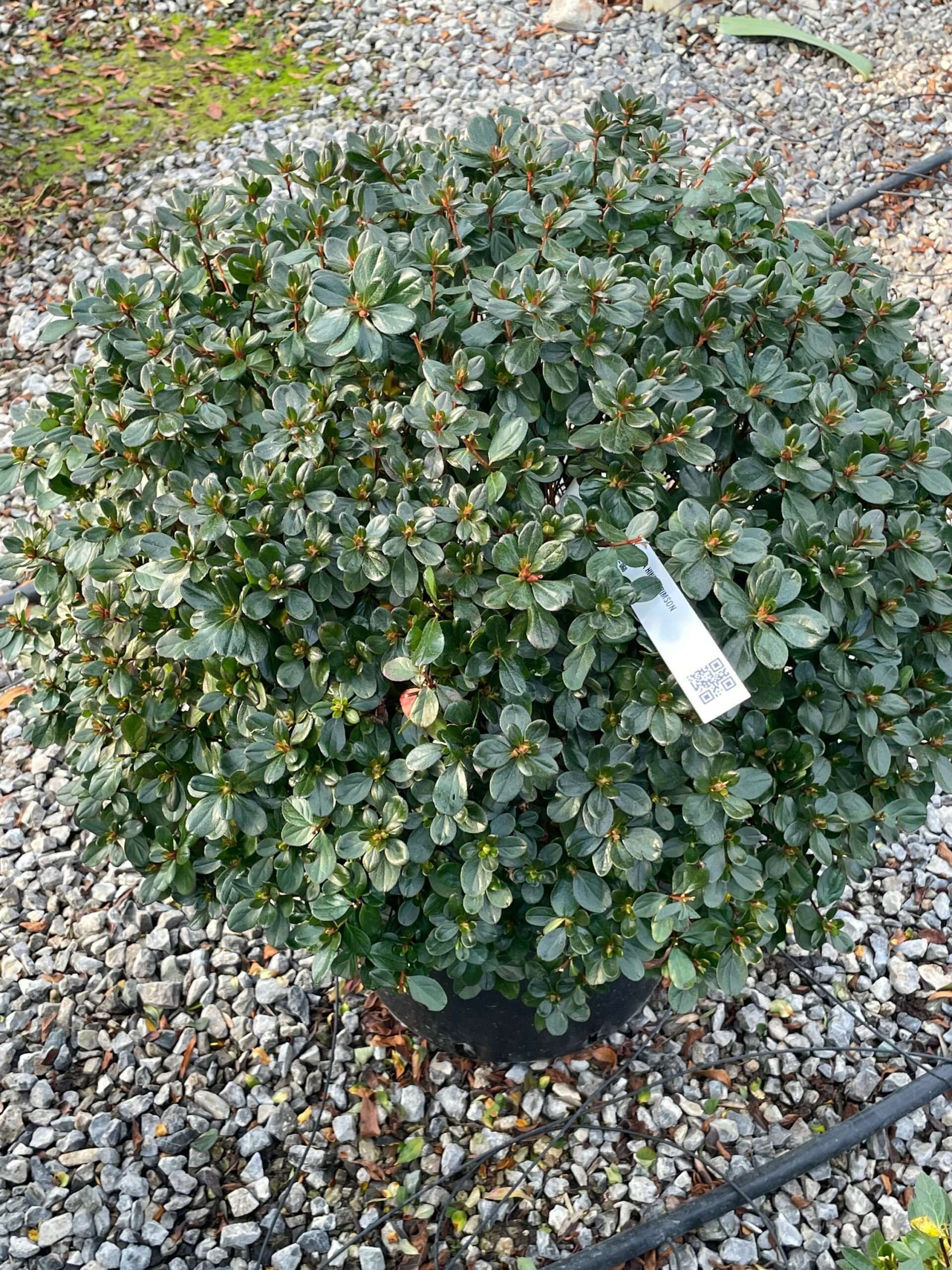 1674221170 scaled bd2c791a