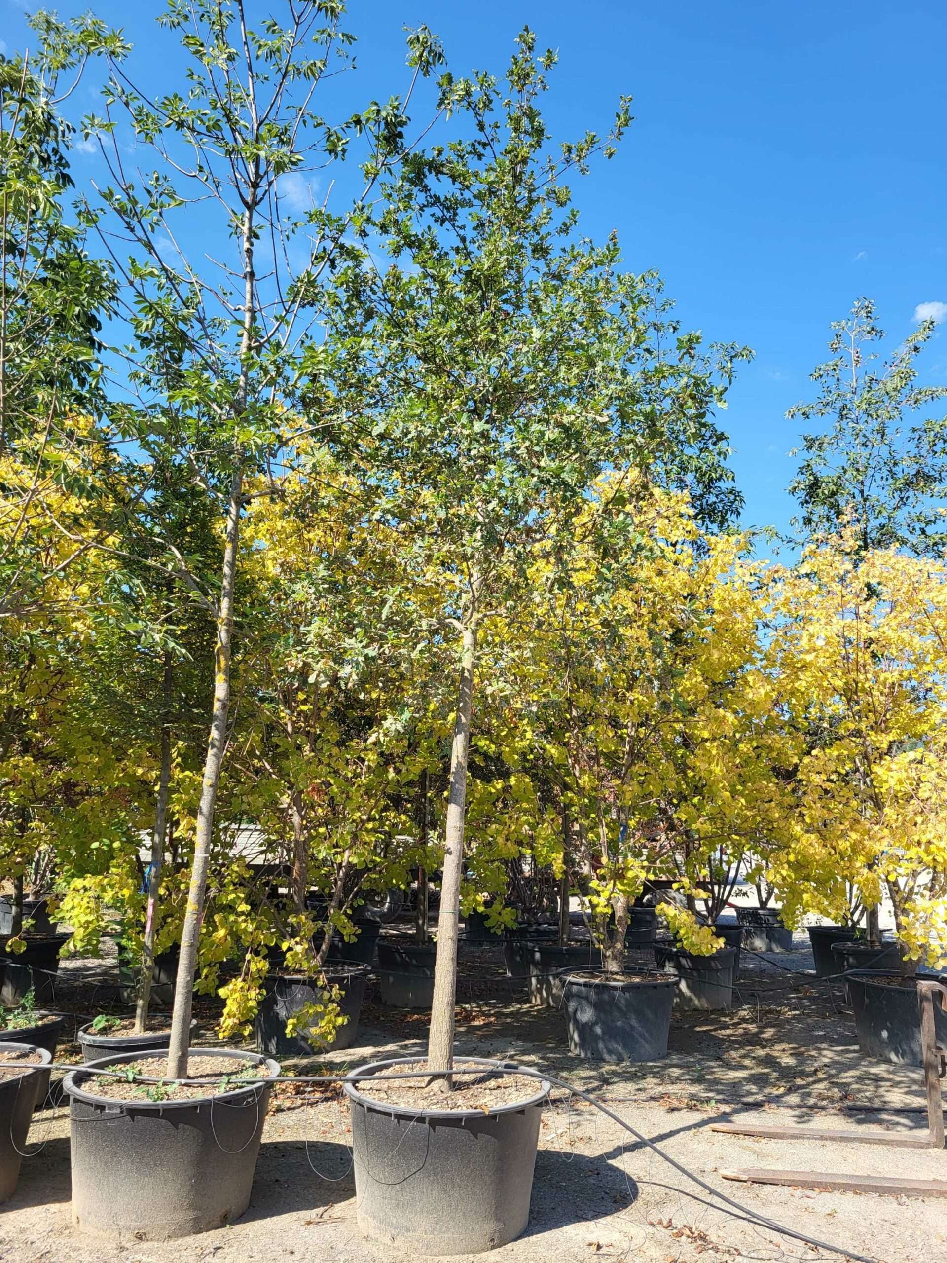 1692799814 scaled bddfa660