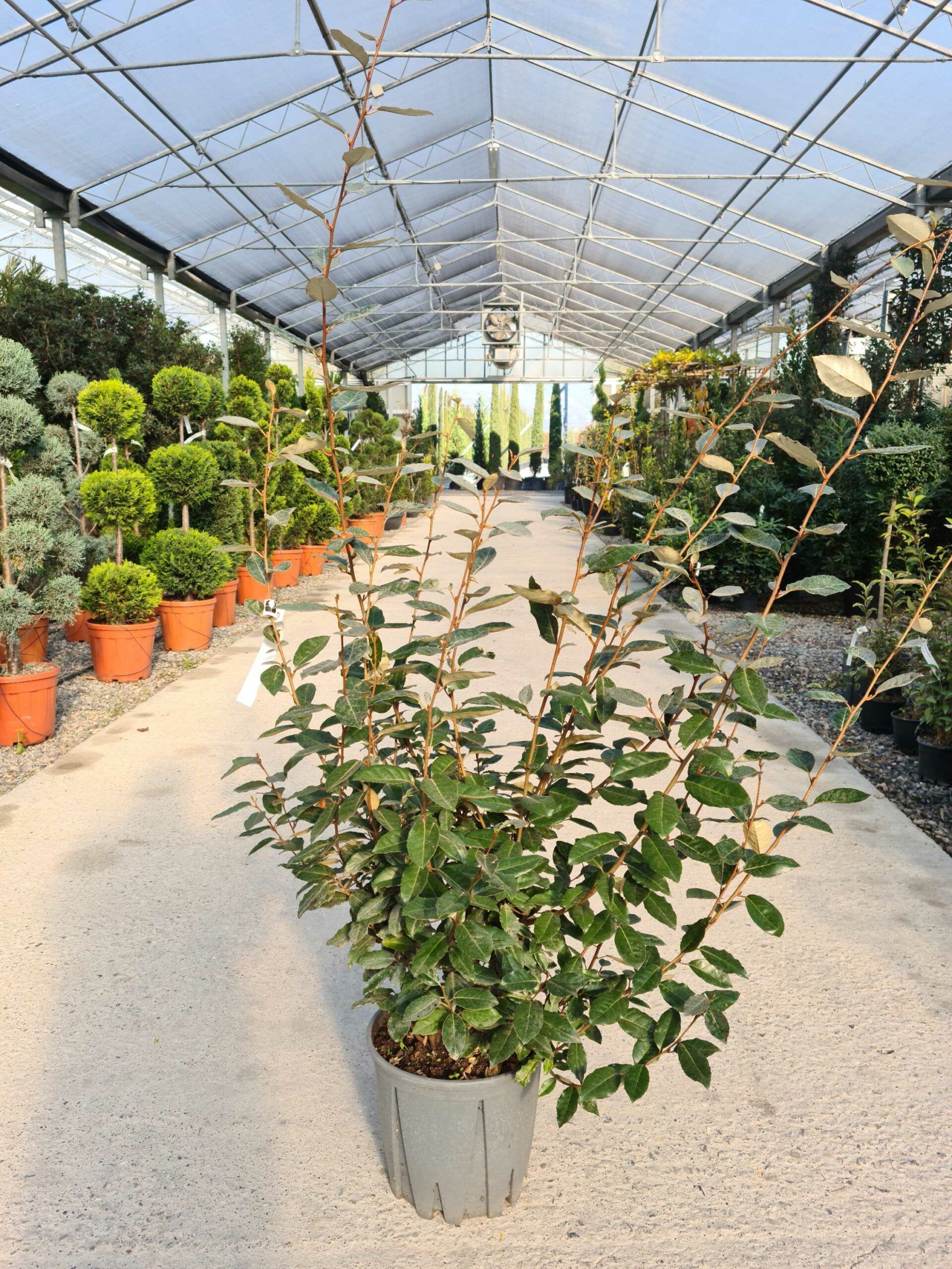 1639477996 scaled beae7618