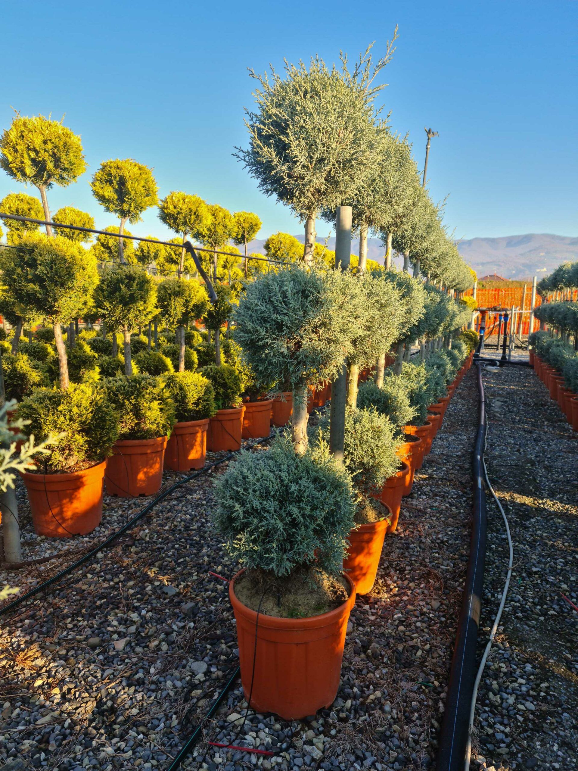 1639815129 scaled be7a1e06