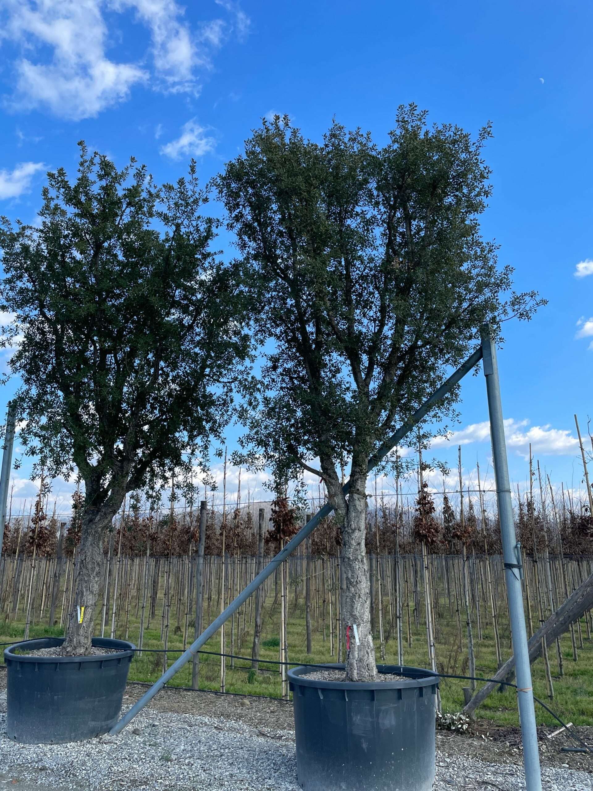 1644240291 scaled be61d711