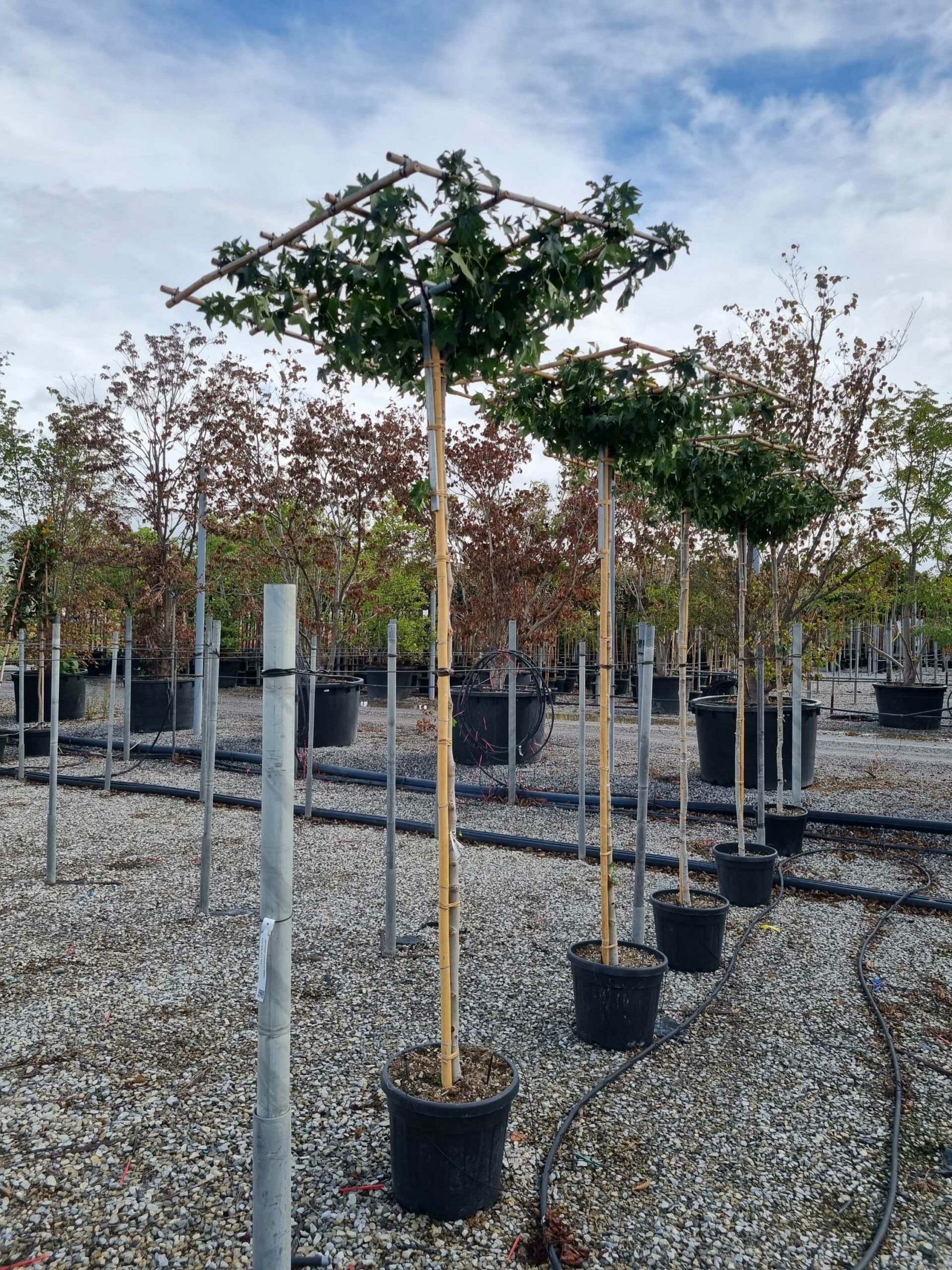 1664440458 scaled bef92264