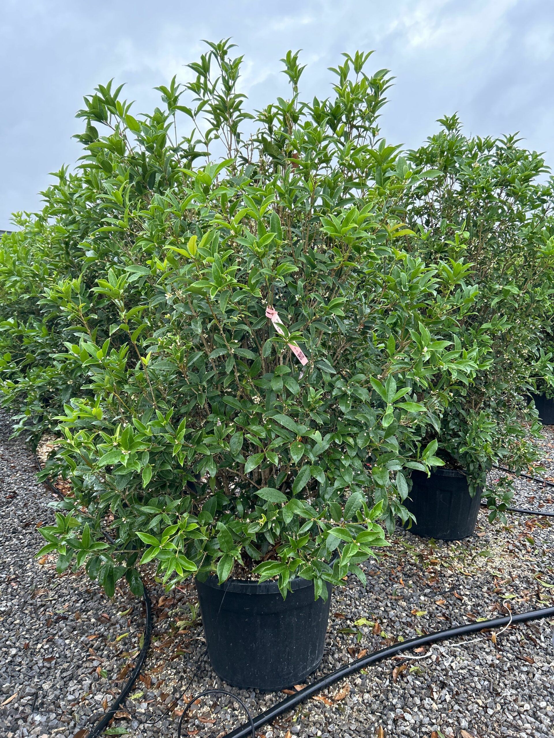 1698161215 scaled bed2cd26