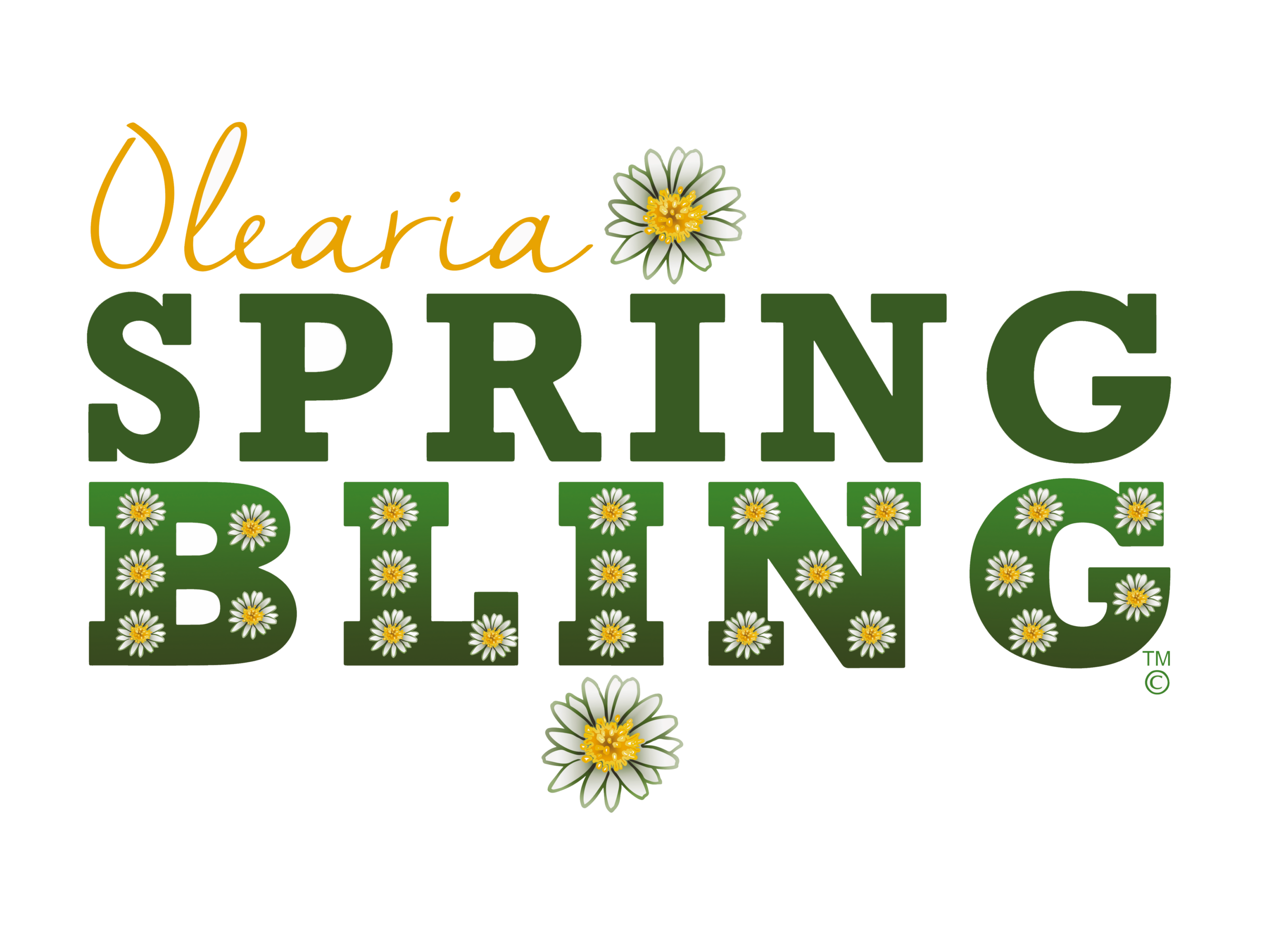 Olearia Spring Bling 2 scaled be62a0f7