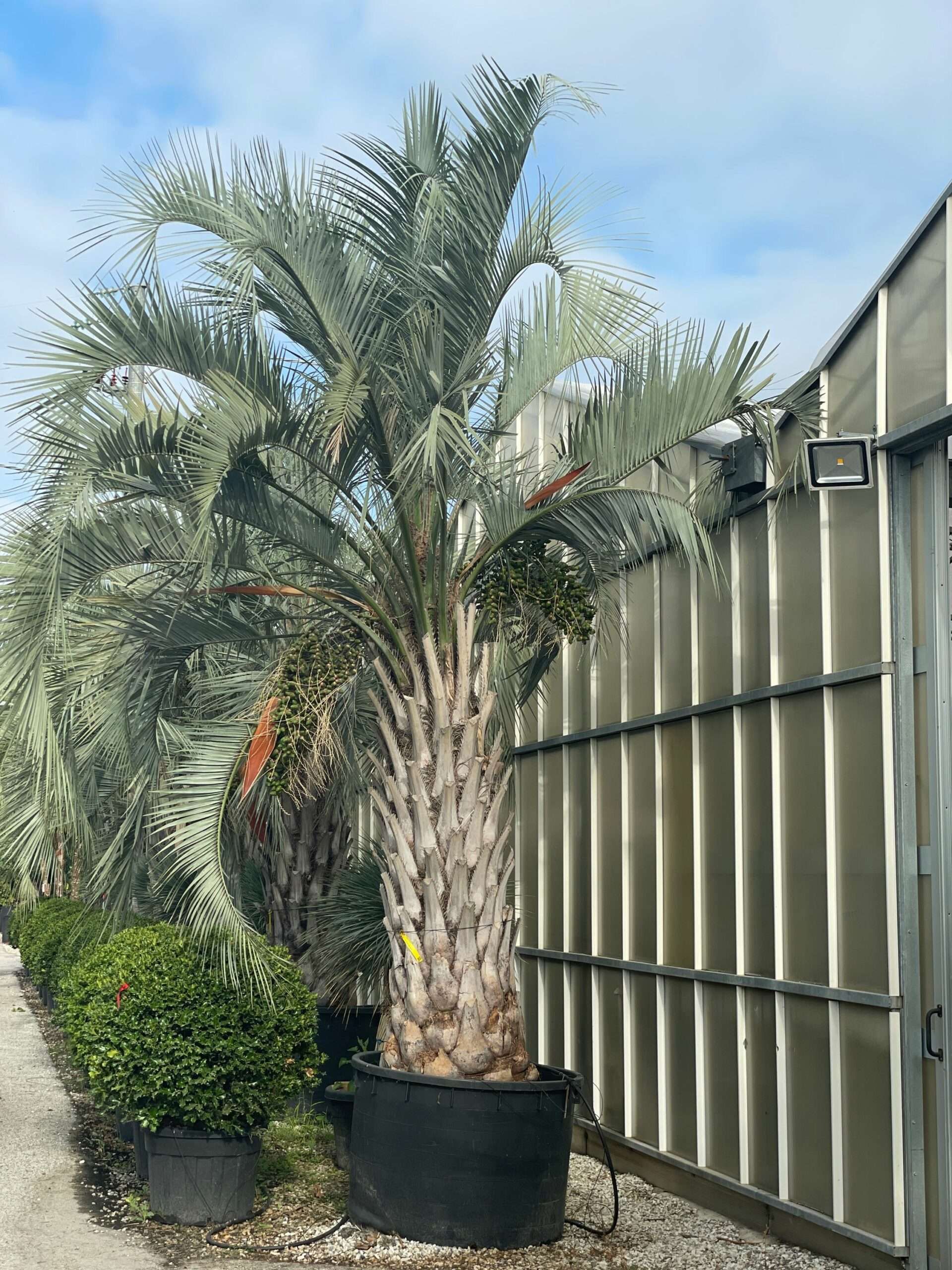 1631604446 scaled bfc45ab6