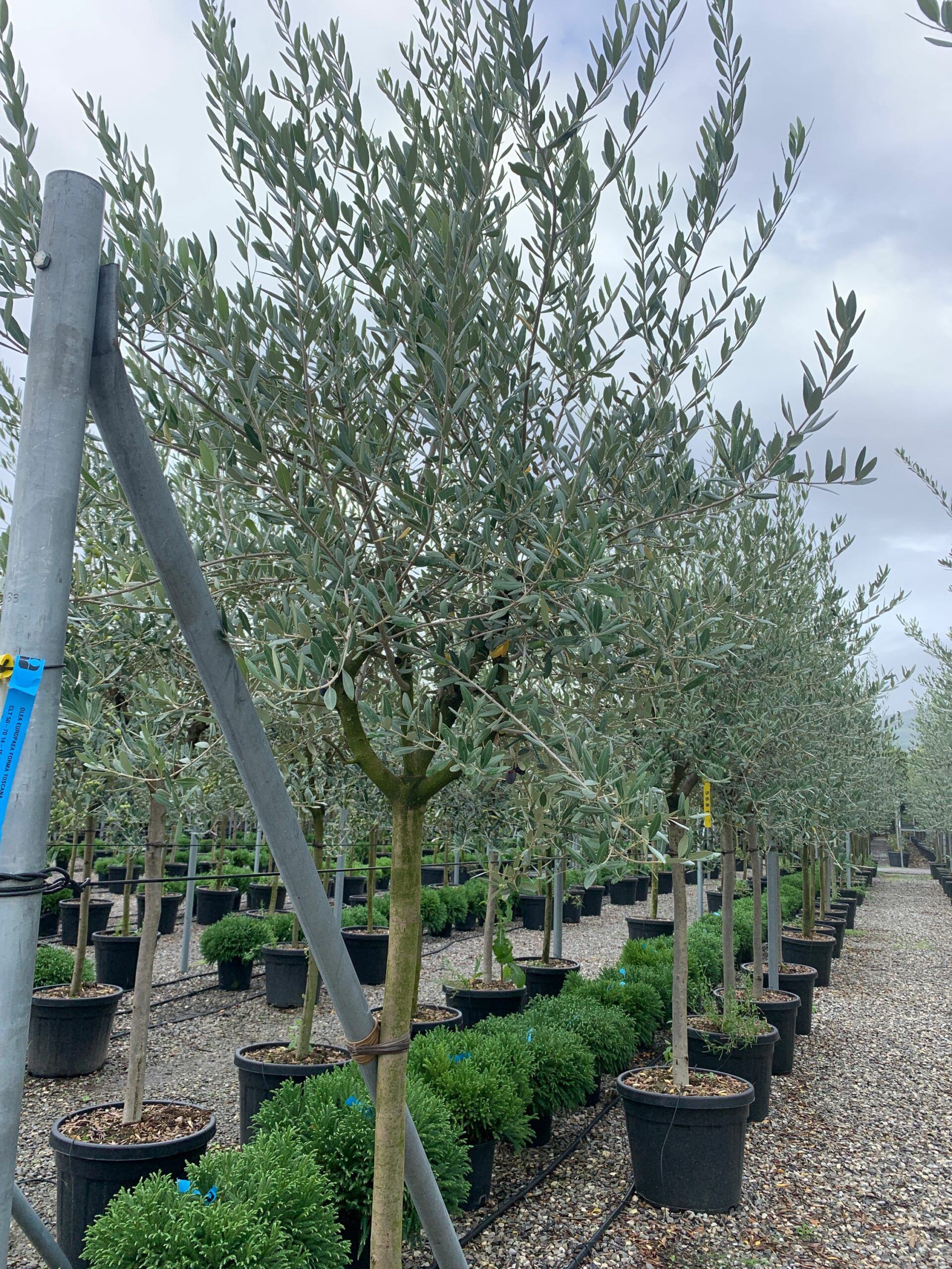 1633420933 scaled bfbe466d