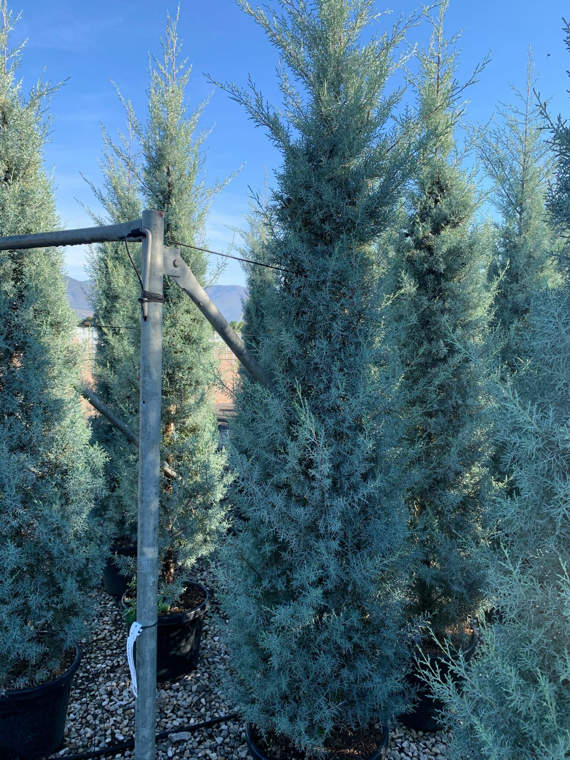 1637313818 scaled bf22fa90