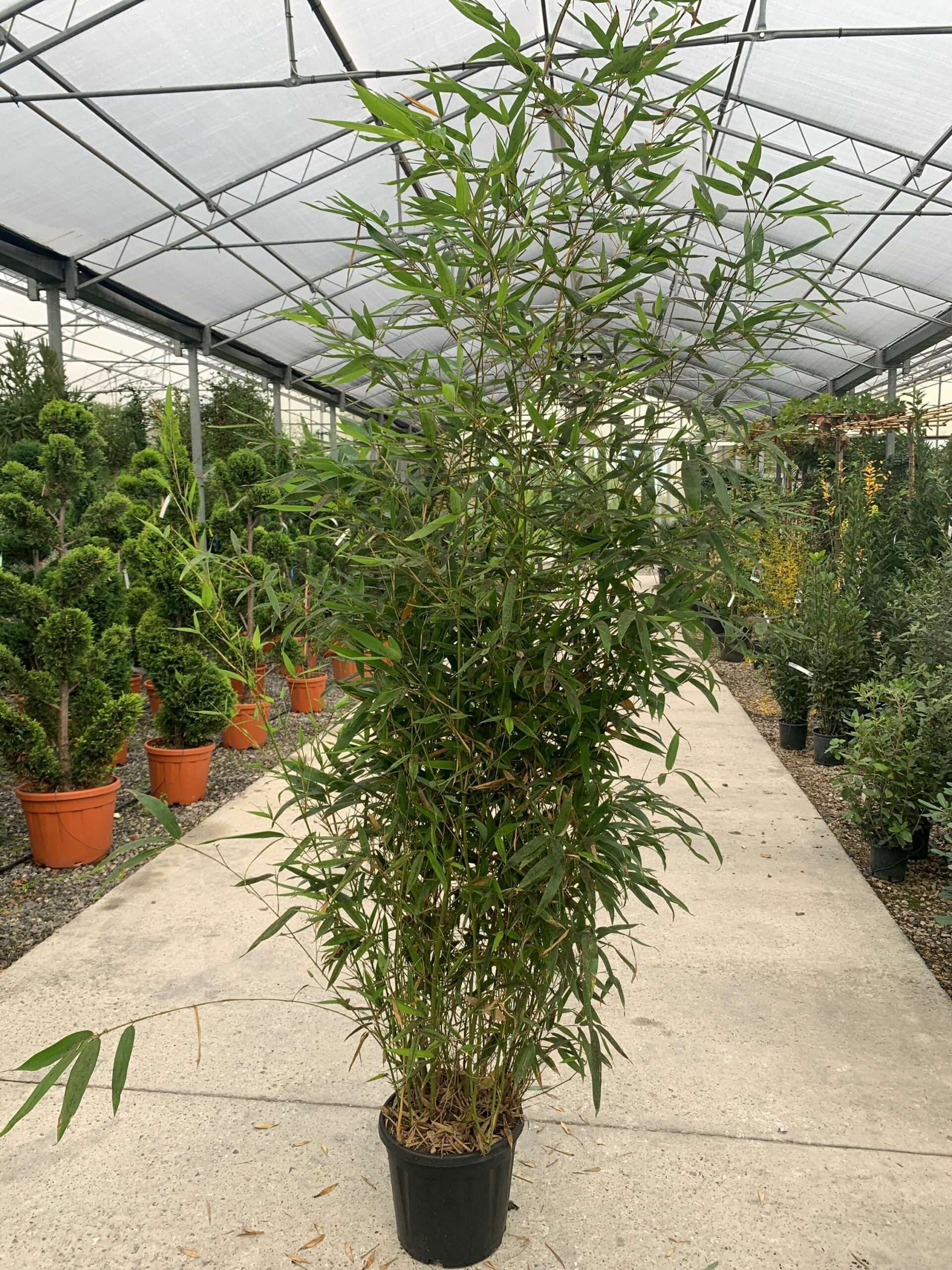 1637576185 scaled bfd1e6b8