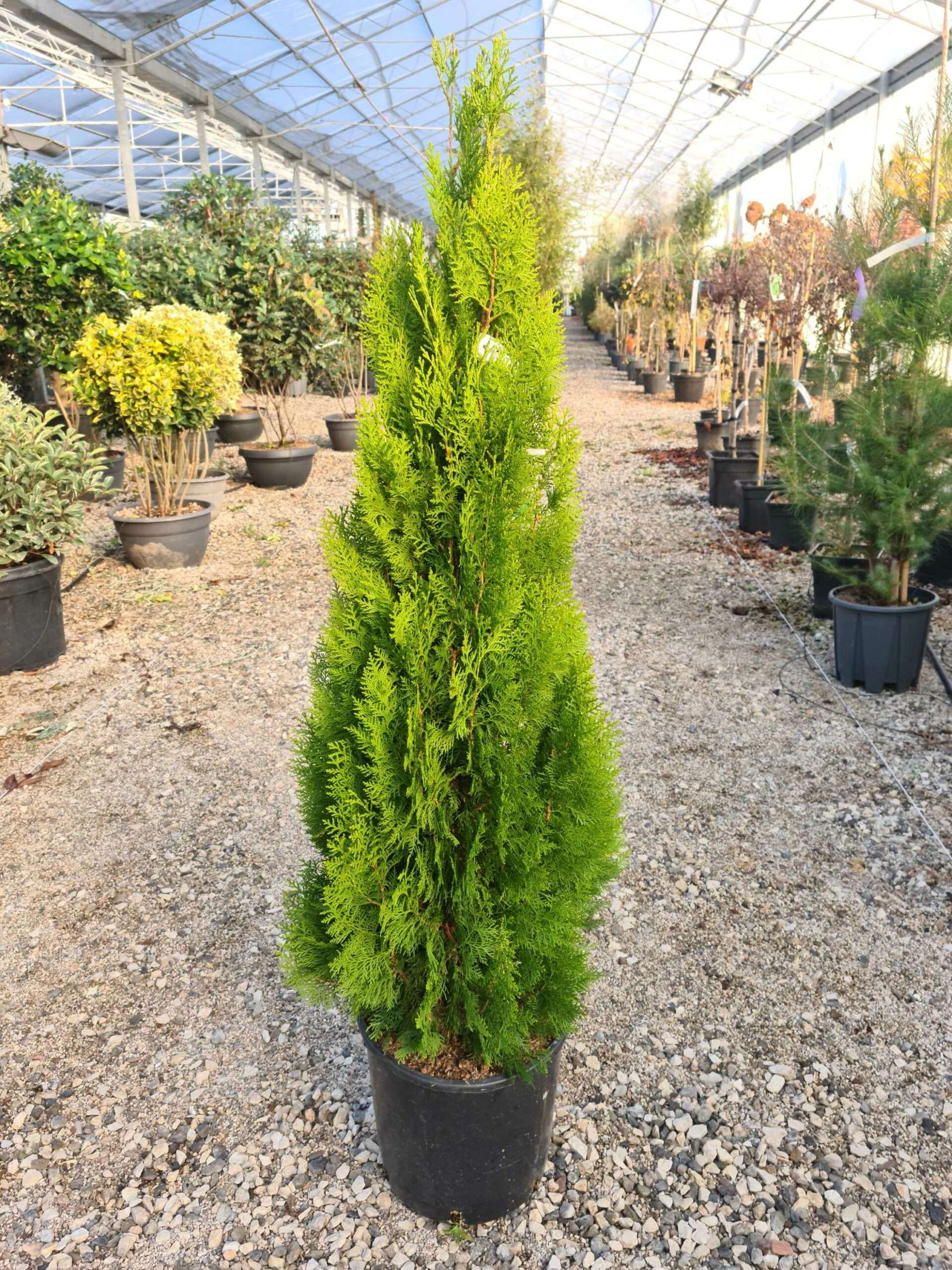 1639473176 scaled bf3627f1