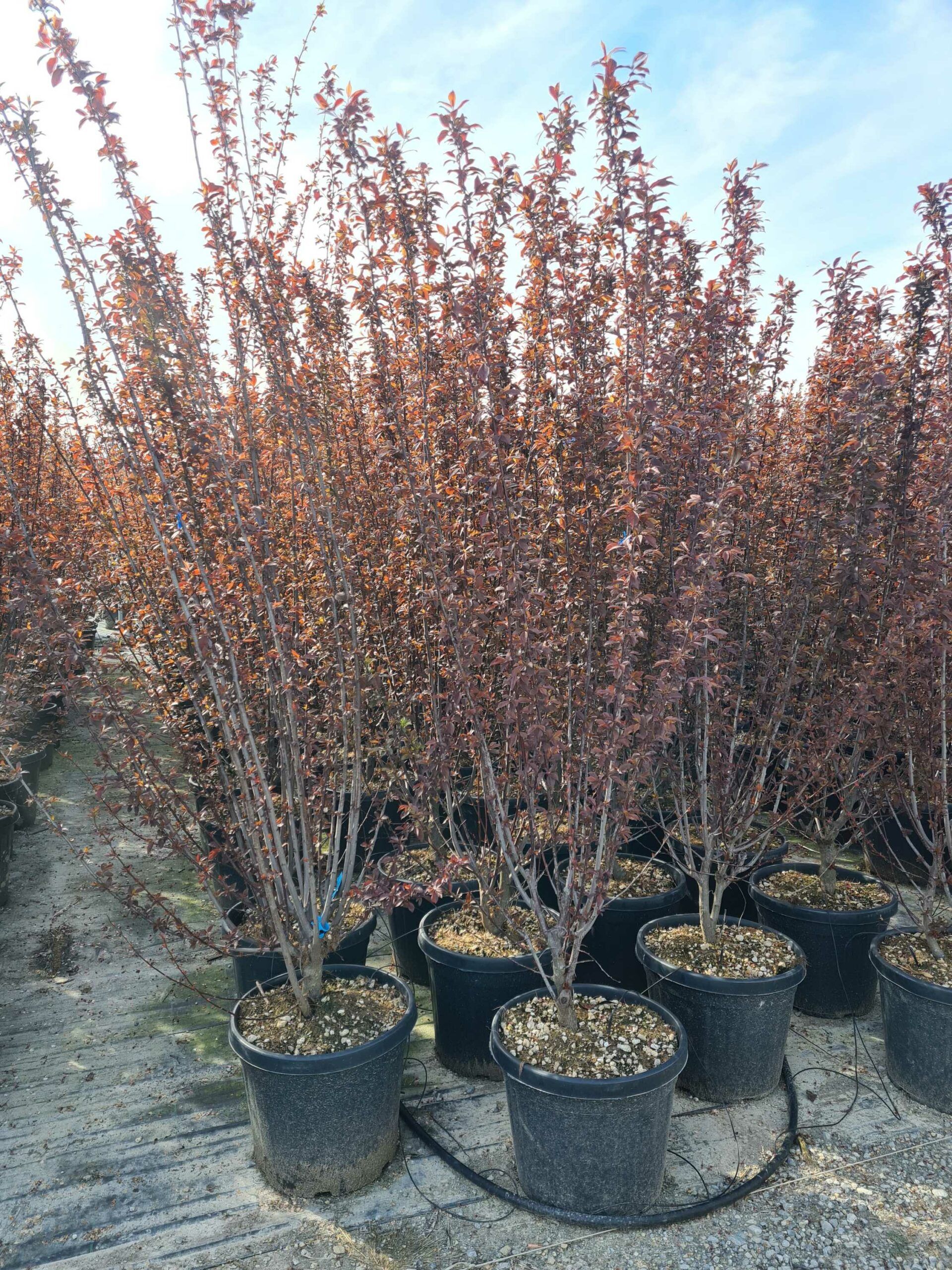 1680013640 scaled bf0d92ec