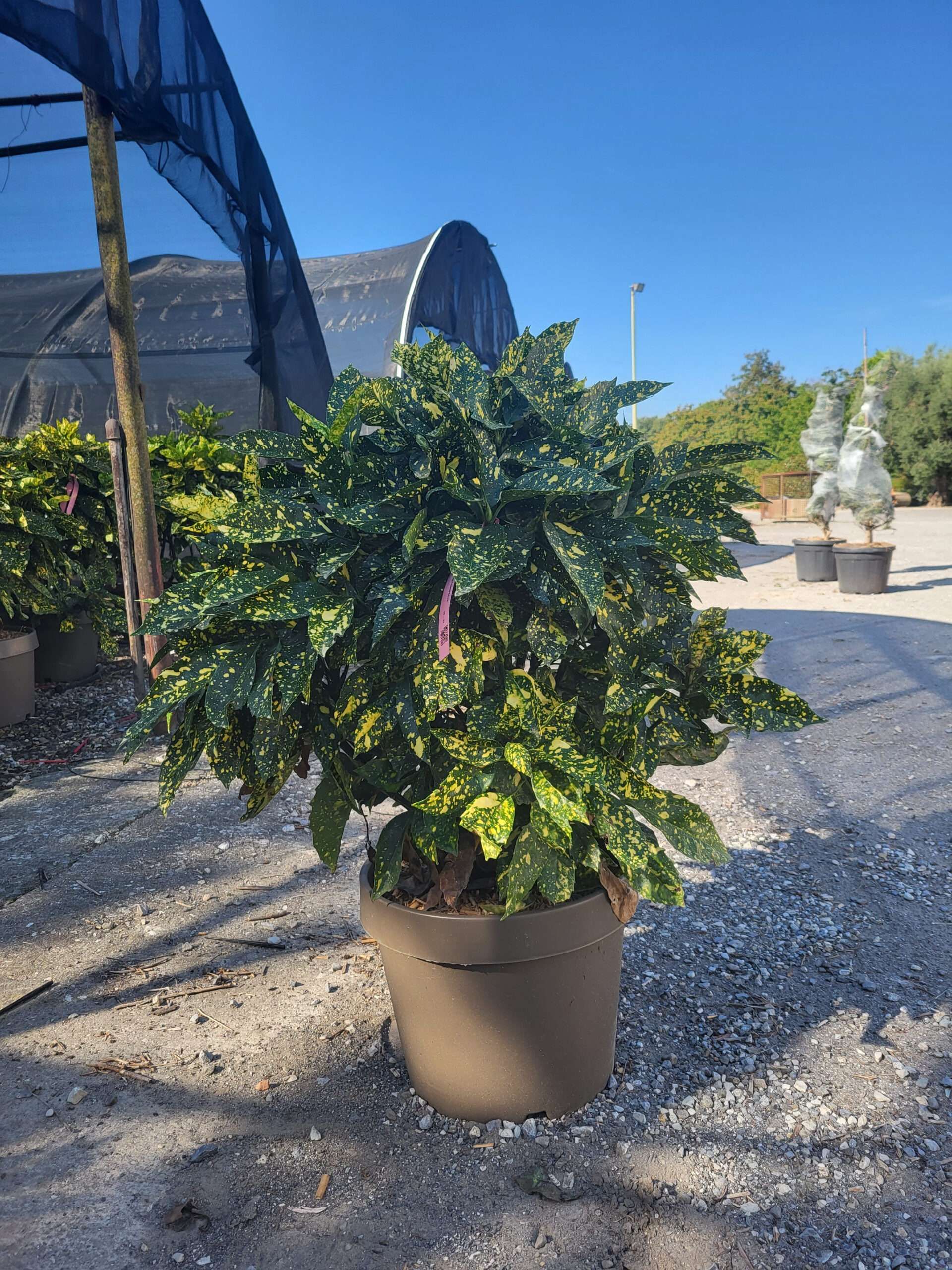 1696325562 scaled bf916286