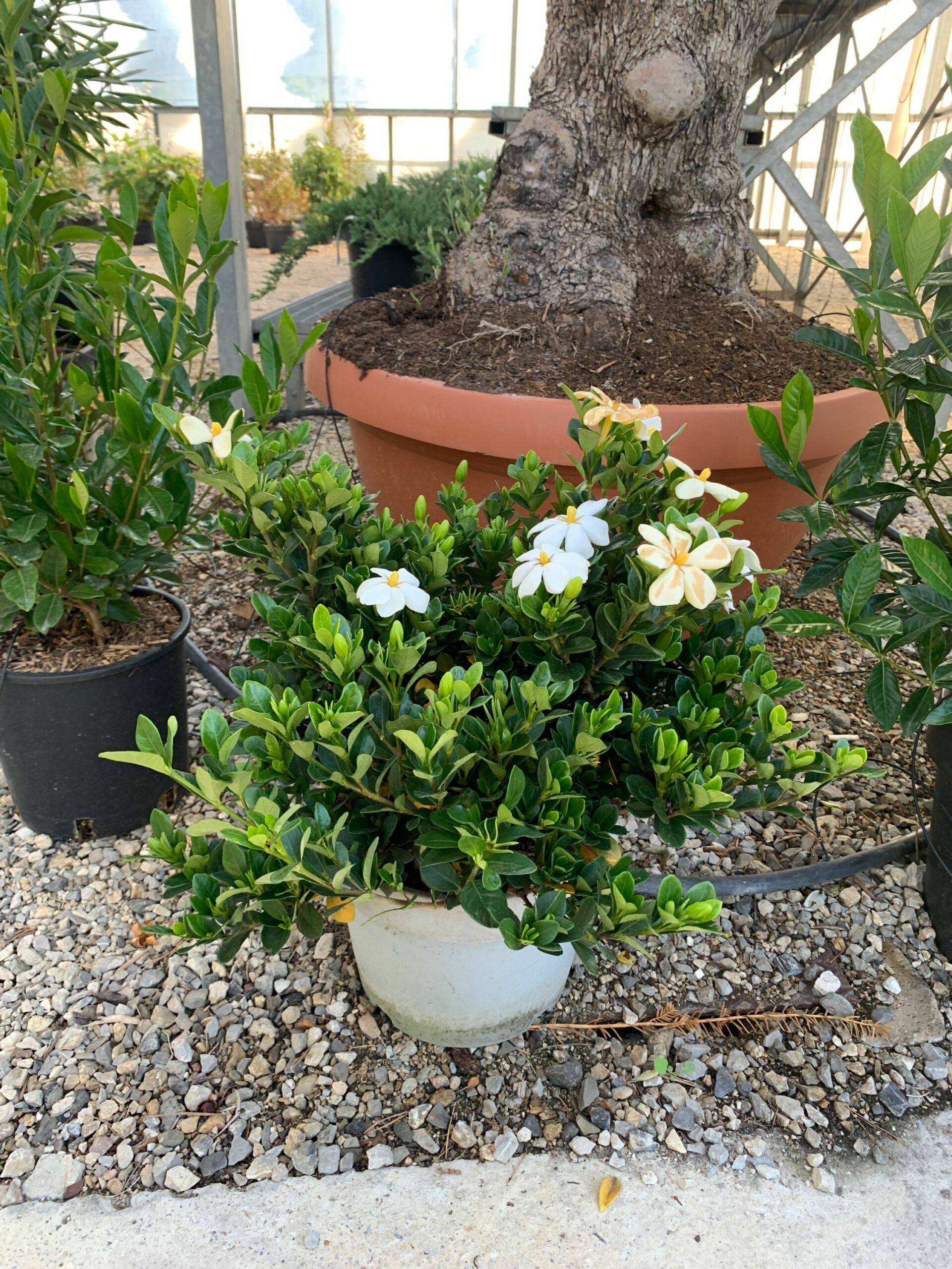 1634978430 scaled c0d08b41