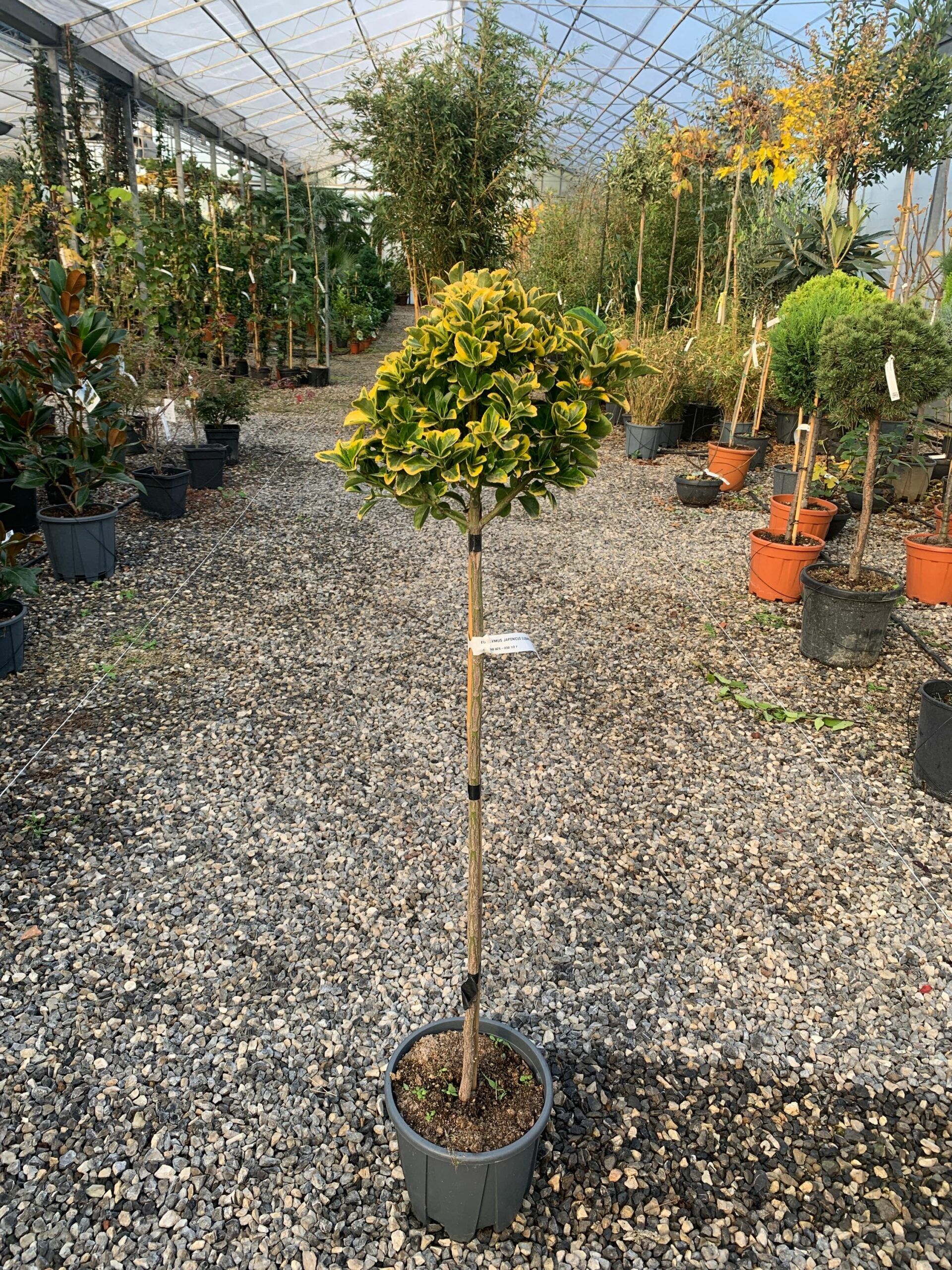 1637243358 1 scaled c00b77eb