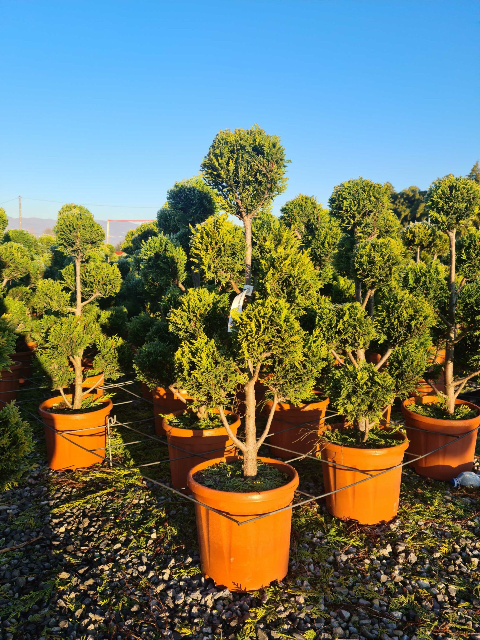 1639813838 scaled c04f1126