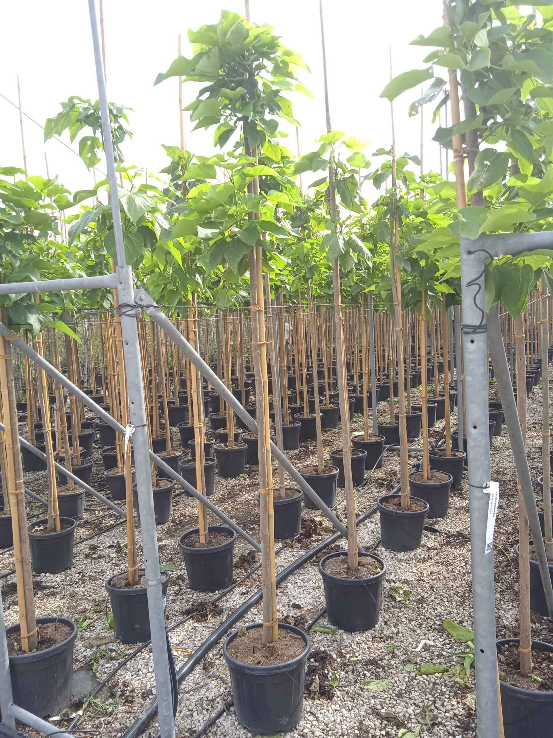 1662019063 scaled c05d4c85