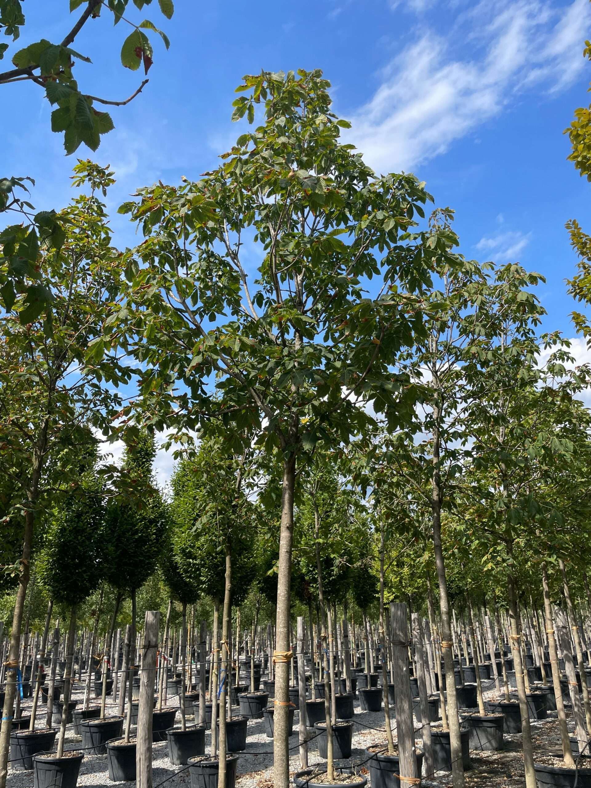 1662123627 scaled c00df1ff