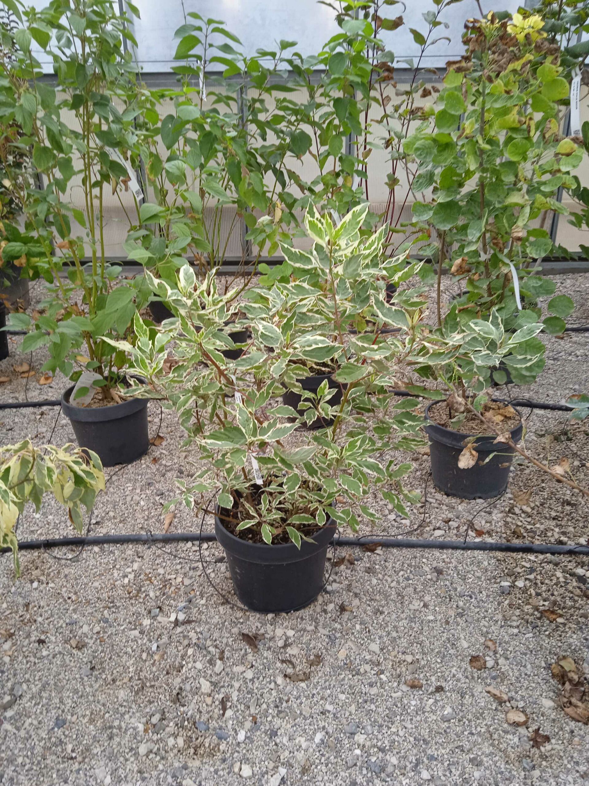 1662190204 scaled c0368b7b