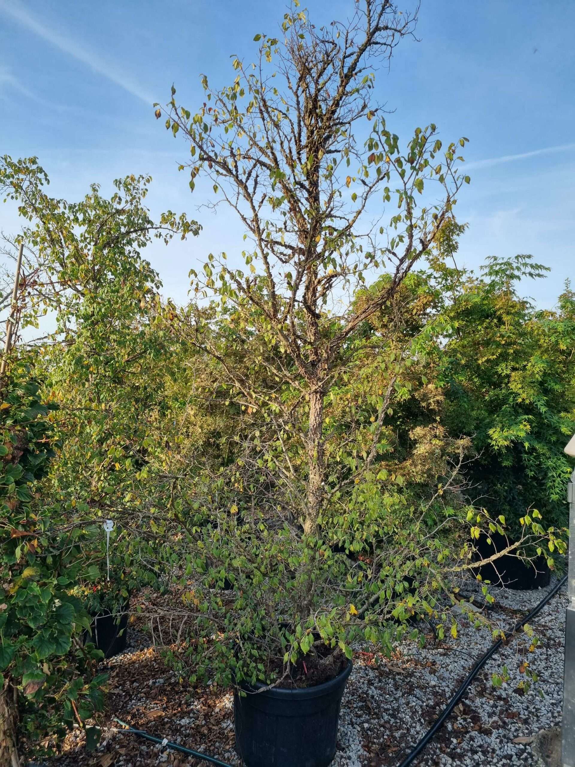 1665558685 scaled c09670b3