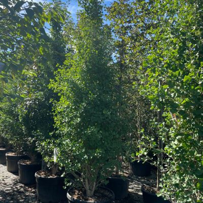 1632306274 scaled c114ed72