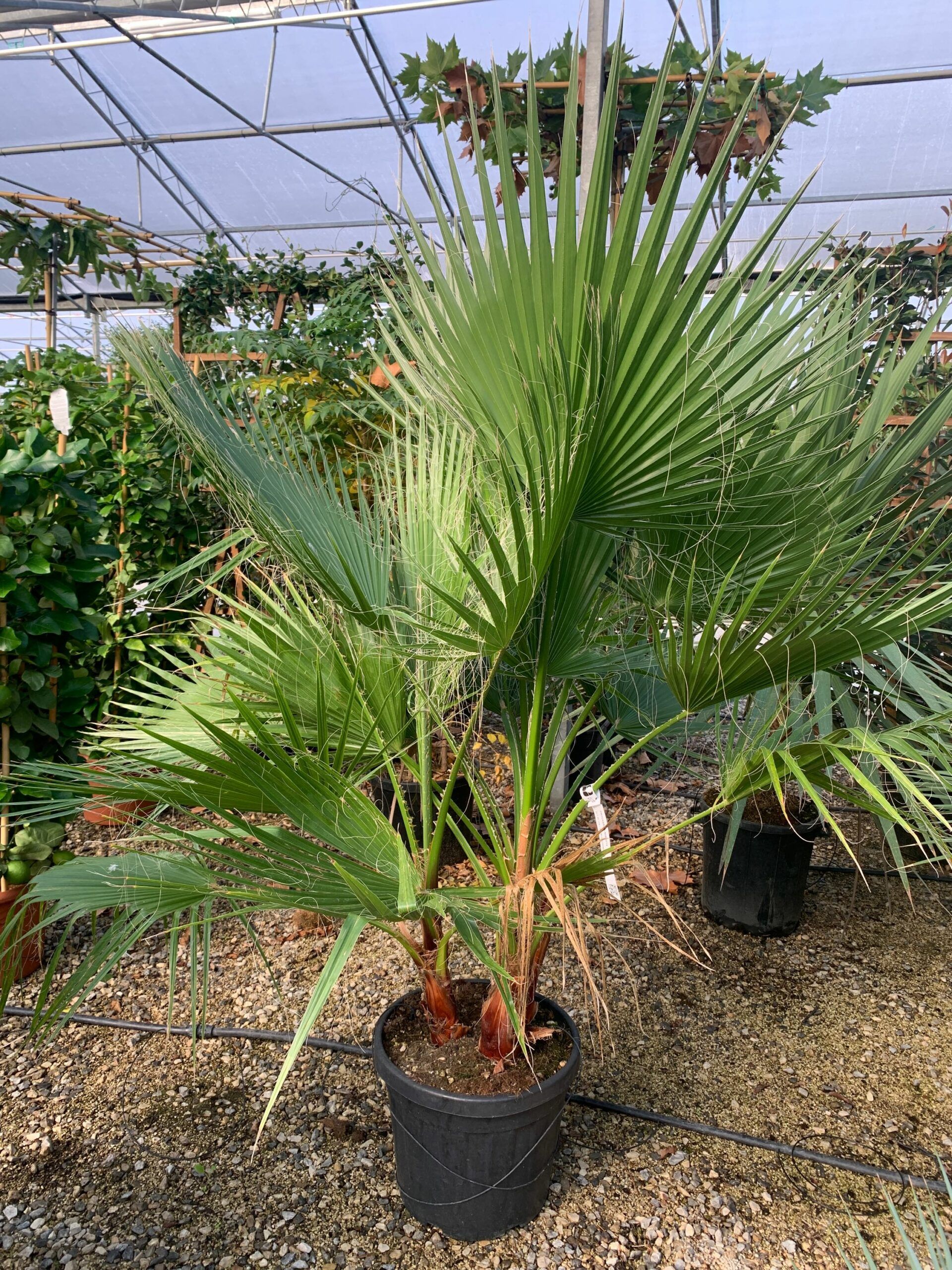 1634975786 scaled c11b059c