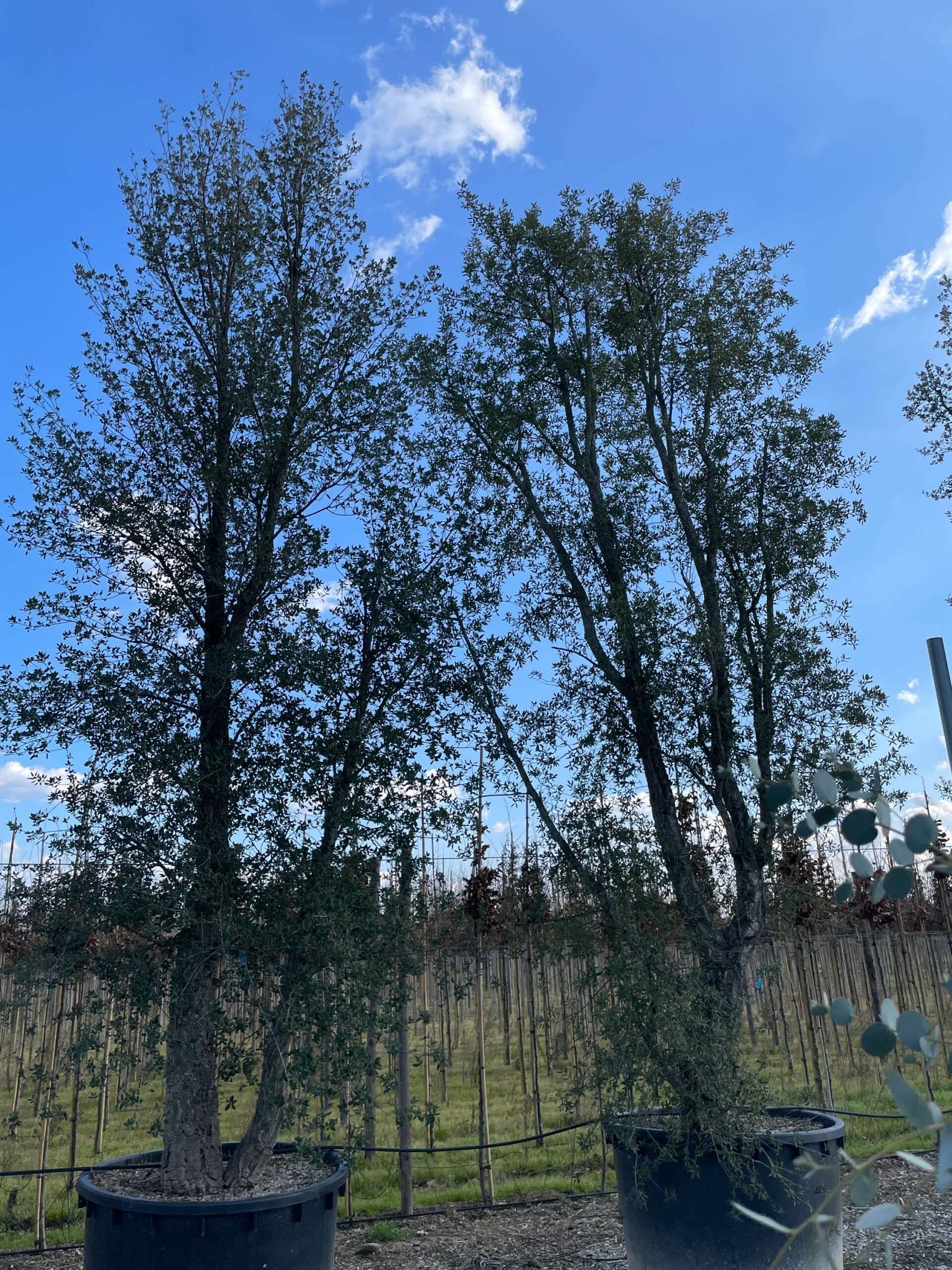 1644240231 scaled c1b82a2a