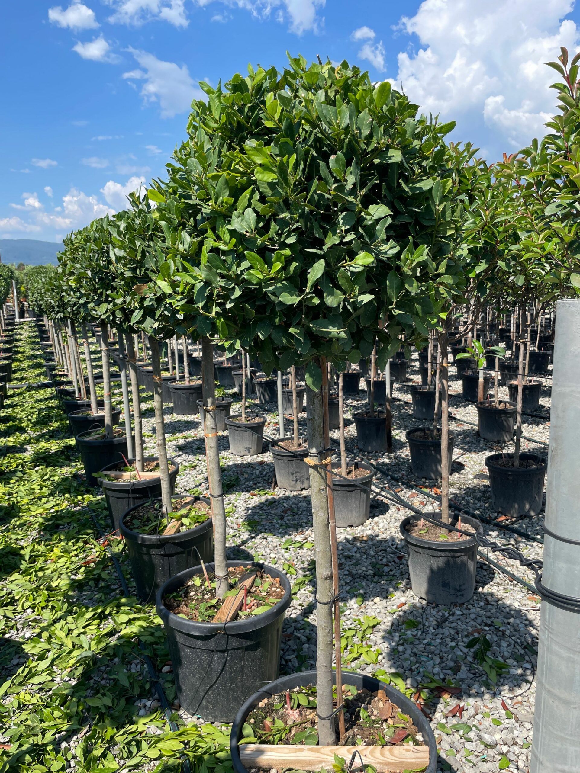 1661509207 scaled c13fdffd