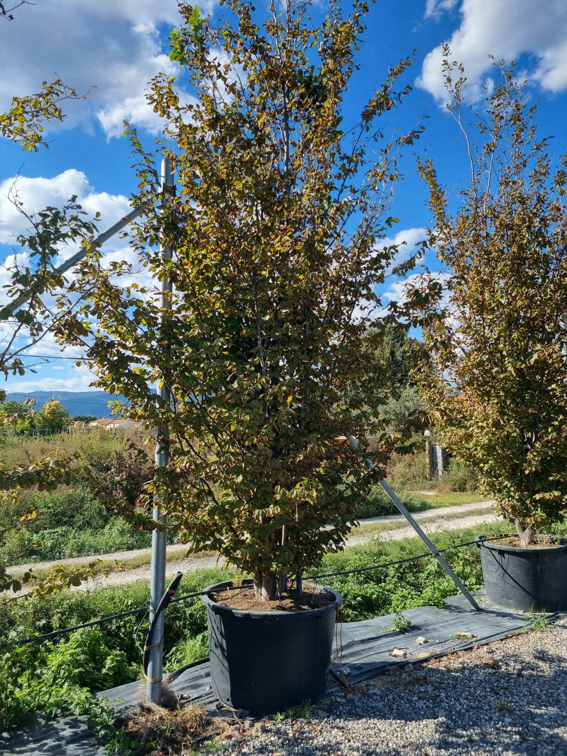 1663682101 scaled c197a6c8