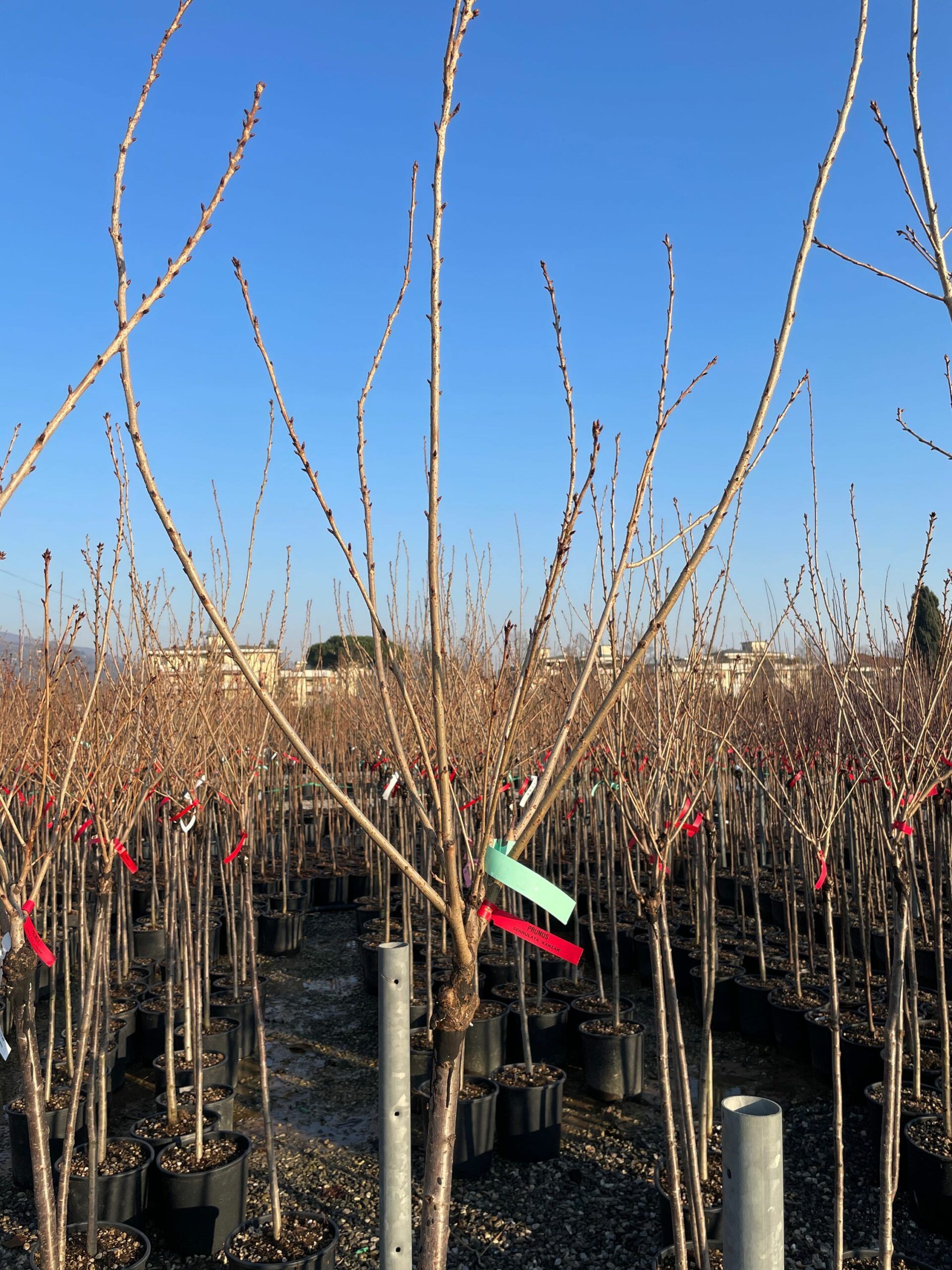 1676387241 scaled c1cf0b52