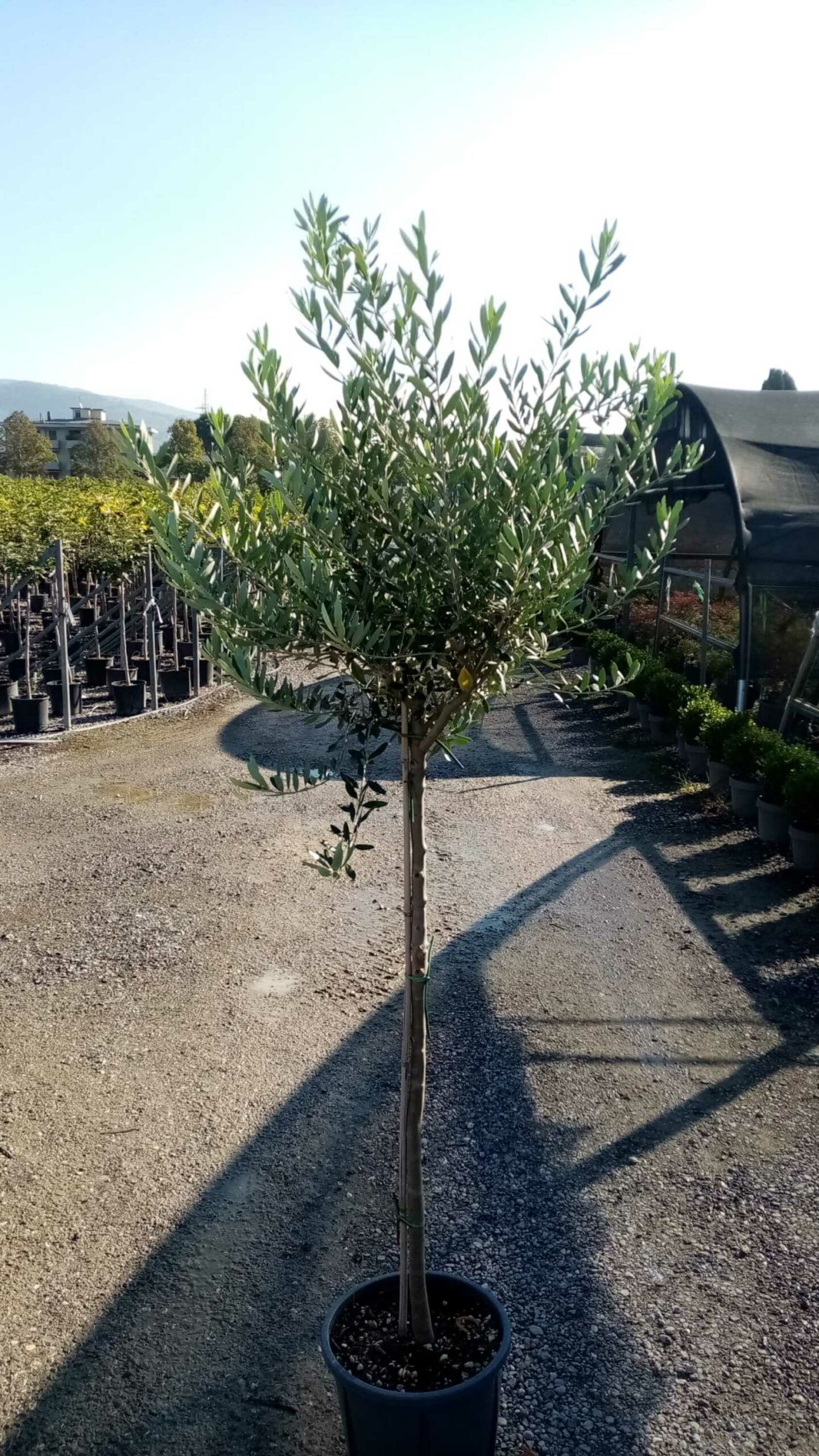 1678387339 scaled c133401c