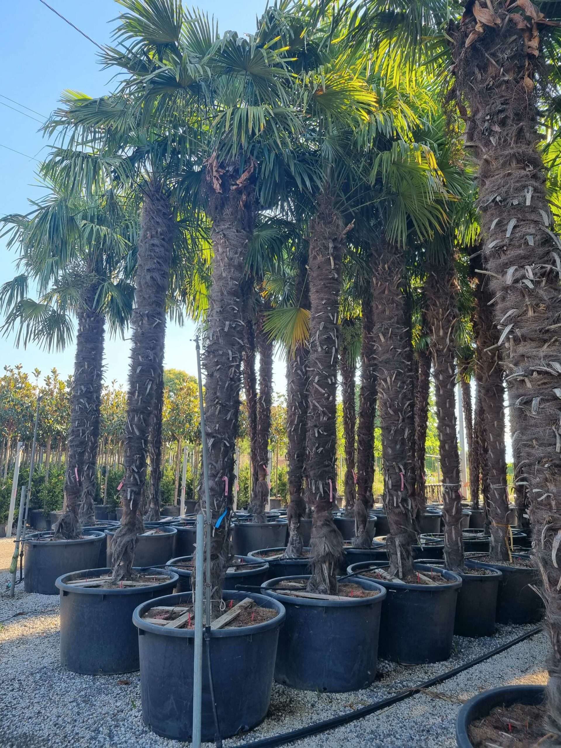 1692687071 scaled c12b3858