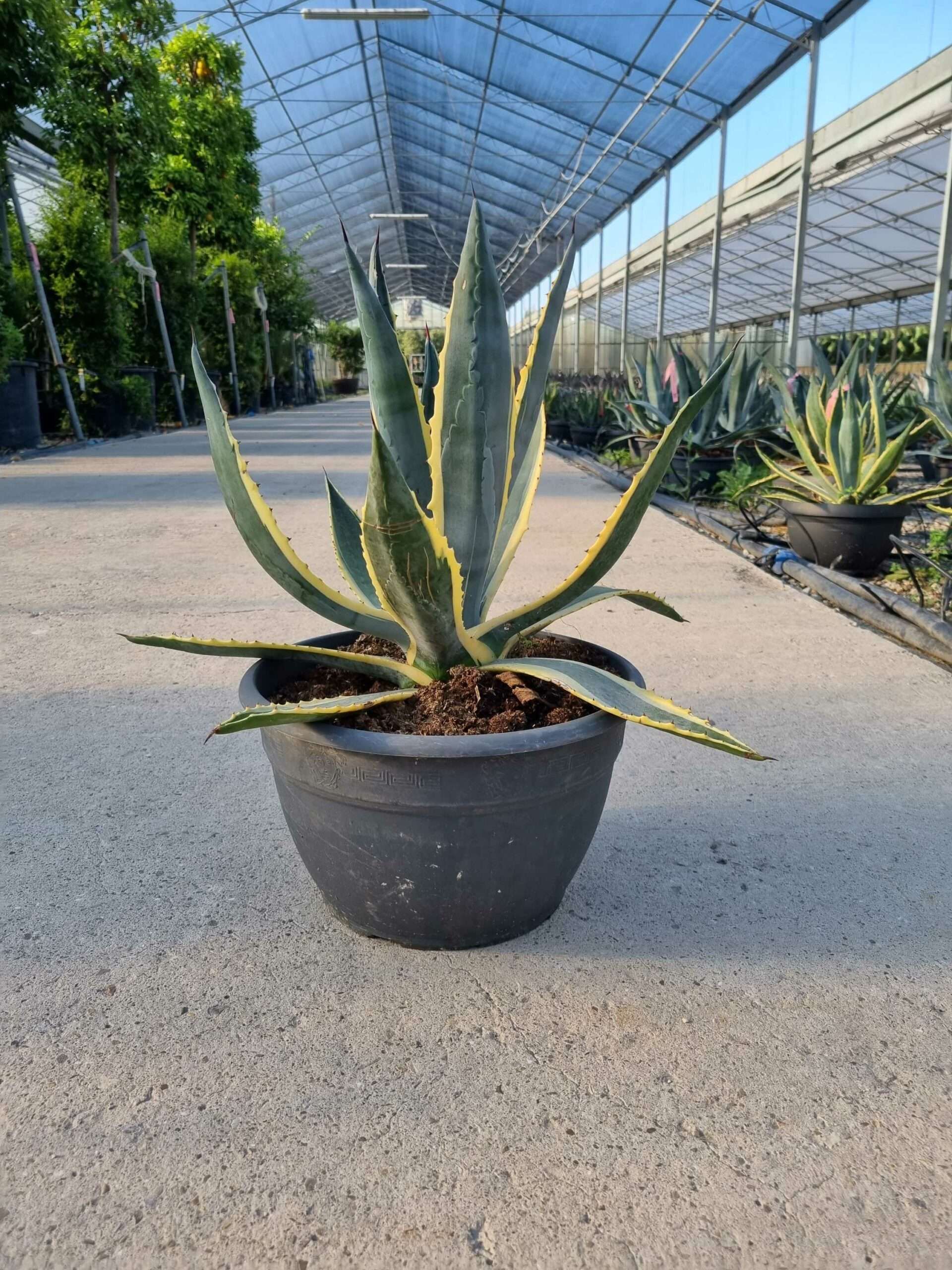 1692945391 scaled c194bfbf