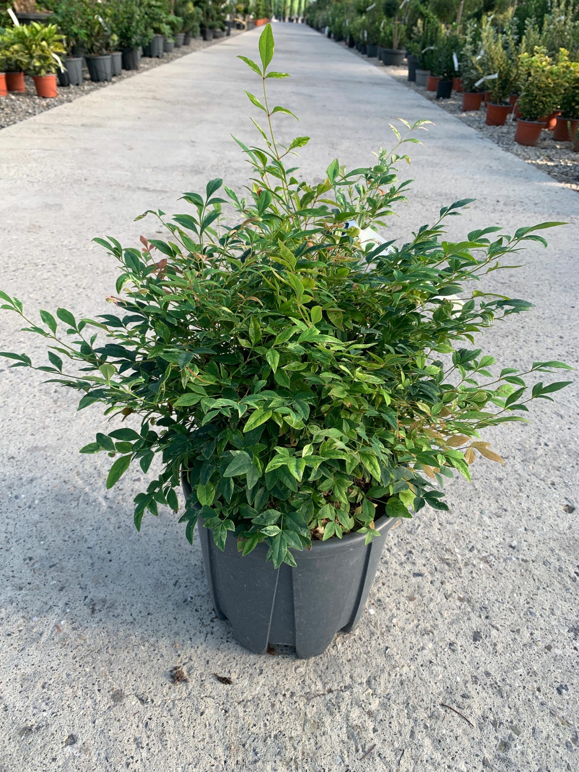 1632812073 scaled c26e66d7