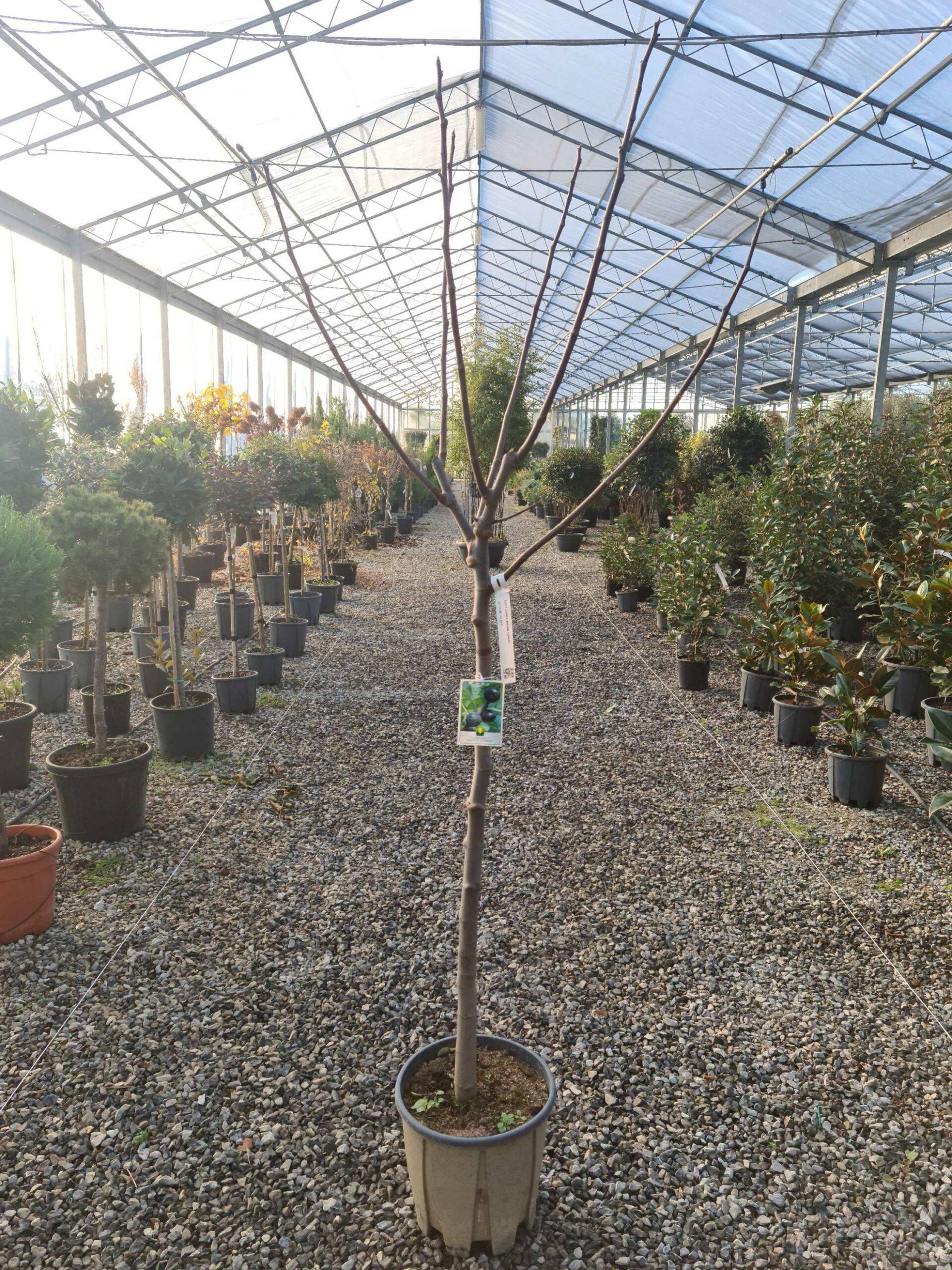 1639472243 scaled c291460c