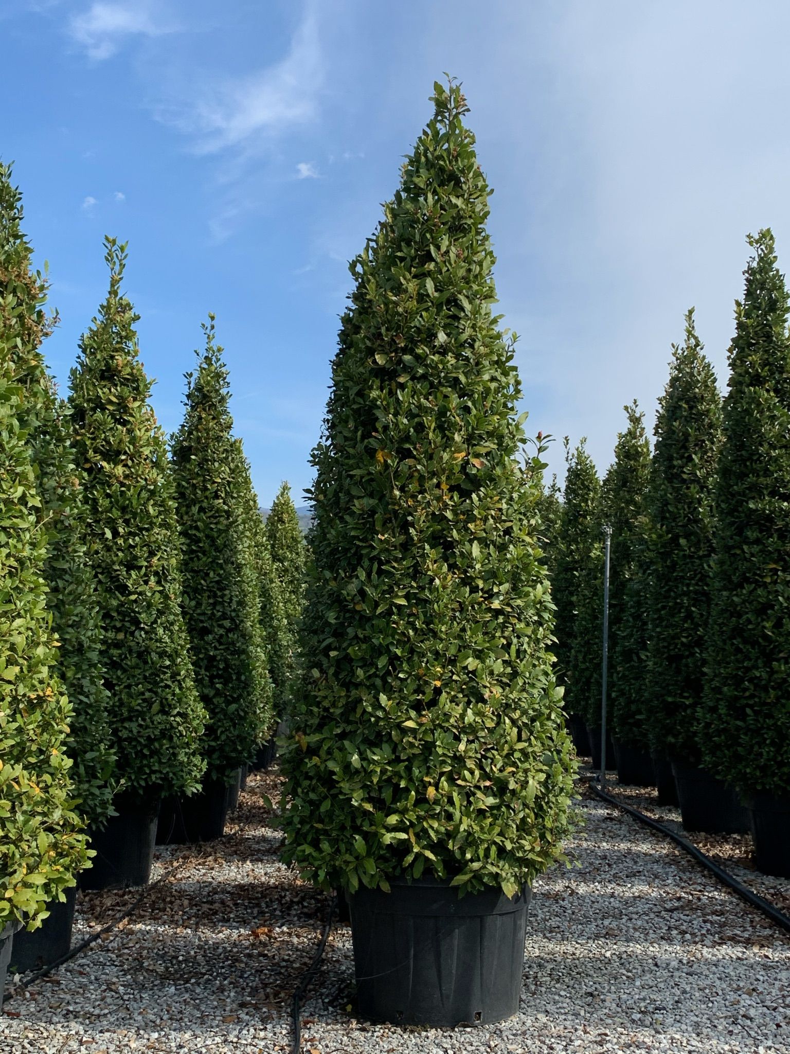 1618652510 01a2e3f6f6a8bd0b732024117b1ff4166f2349d080 c3792d79