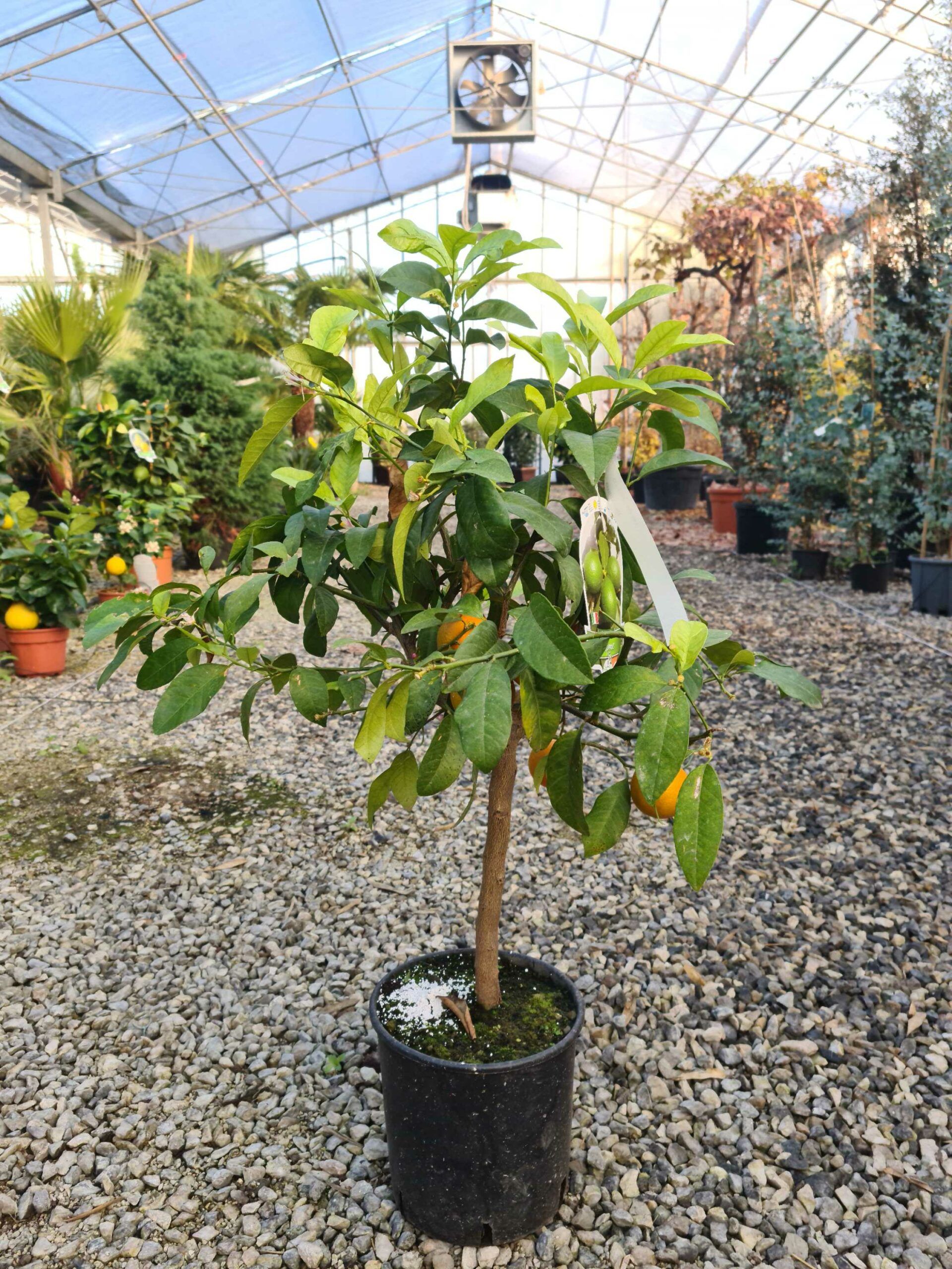 1639471471 scaled c3d3d5f0