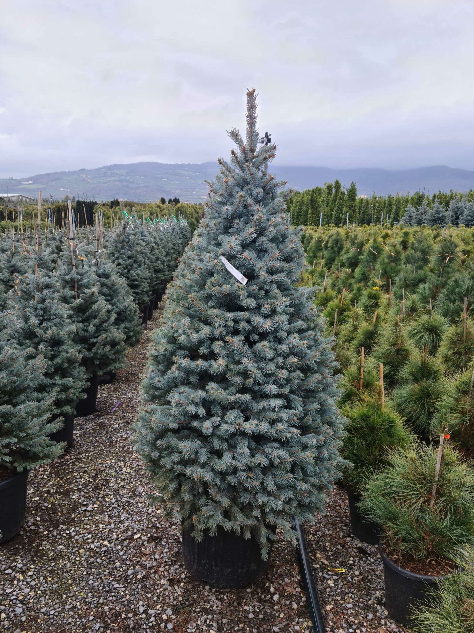 1641287640 scaled c3b575e8