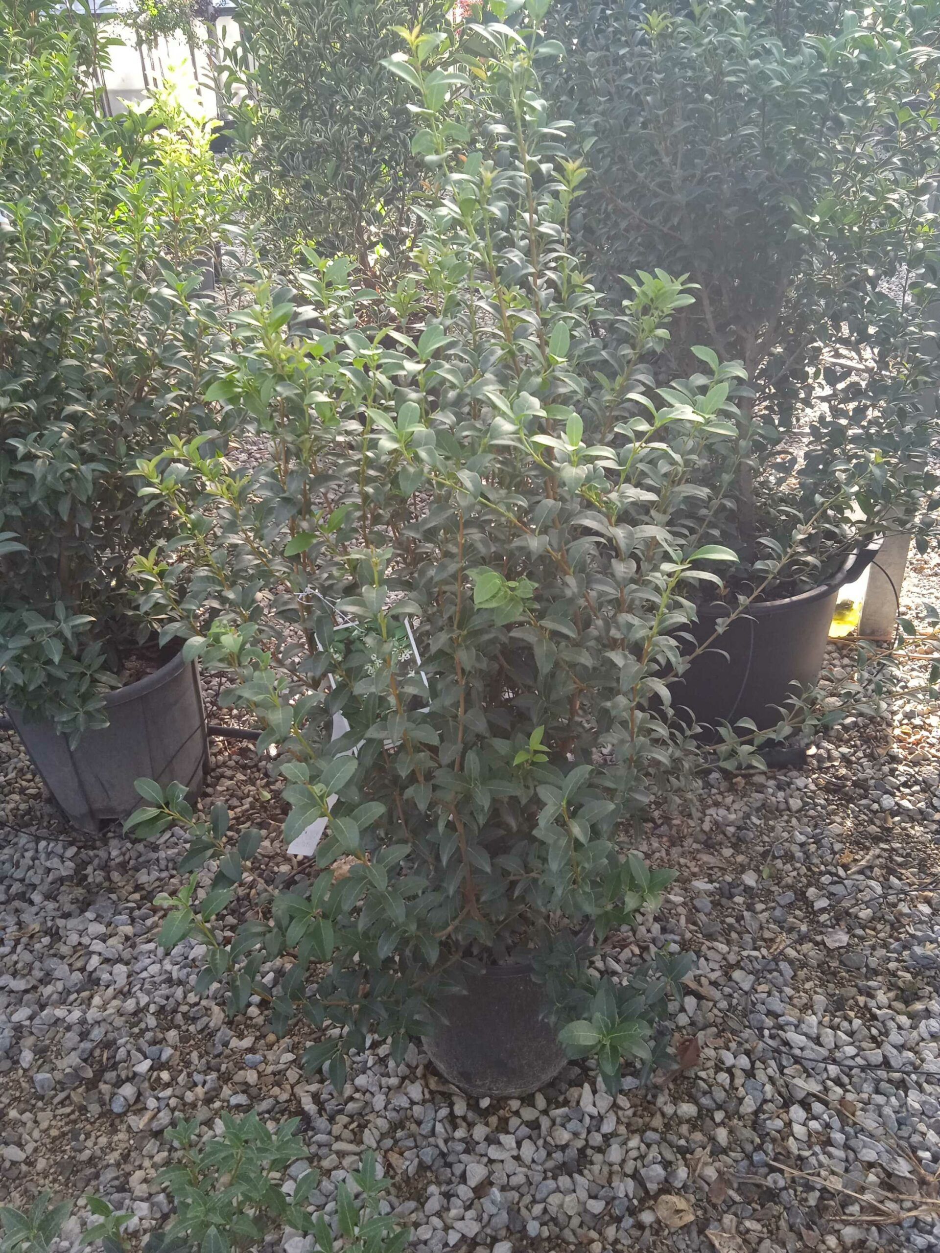 1662446578 scaled c342bf35