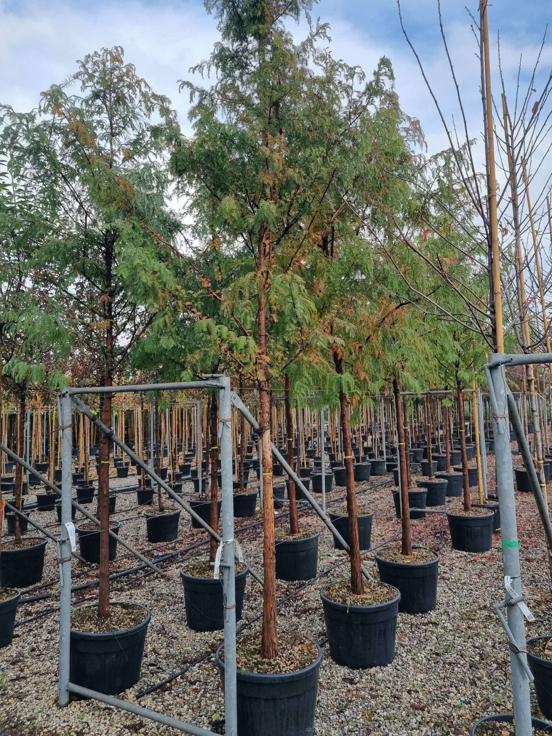 1668604858 scaled c32ac4d6