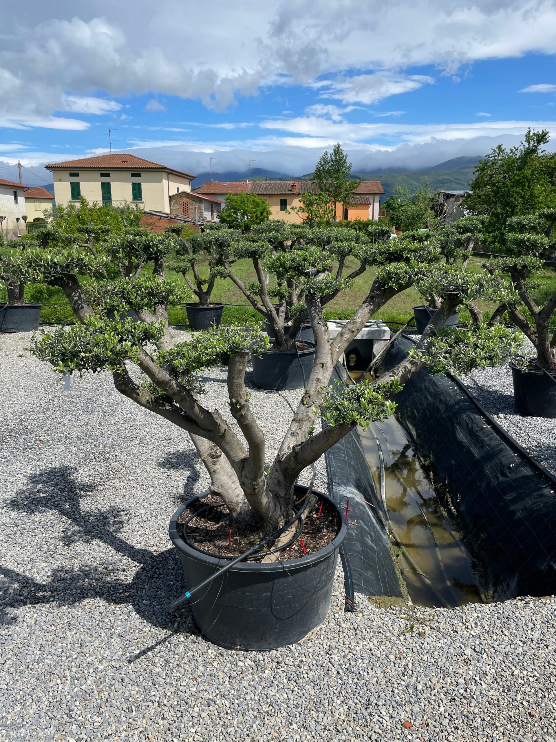 1683106246 scaled c3c5e100