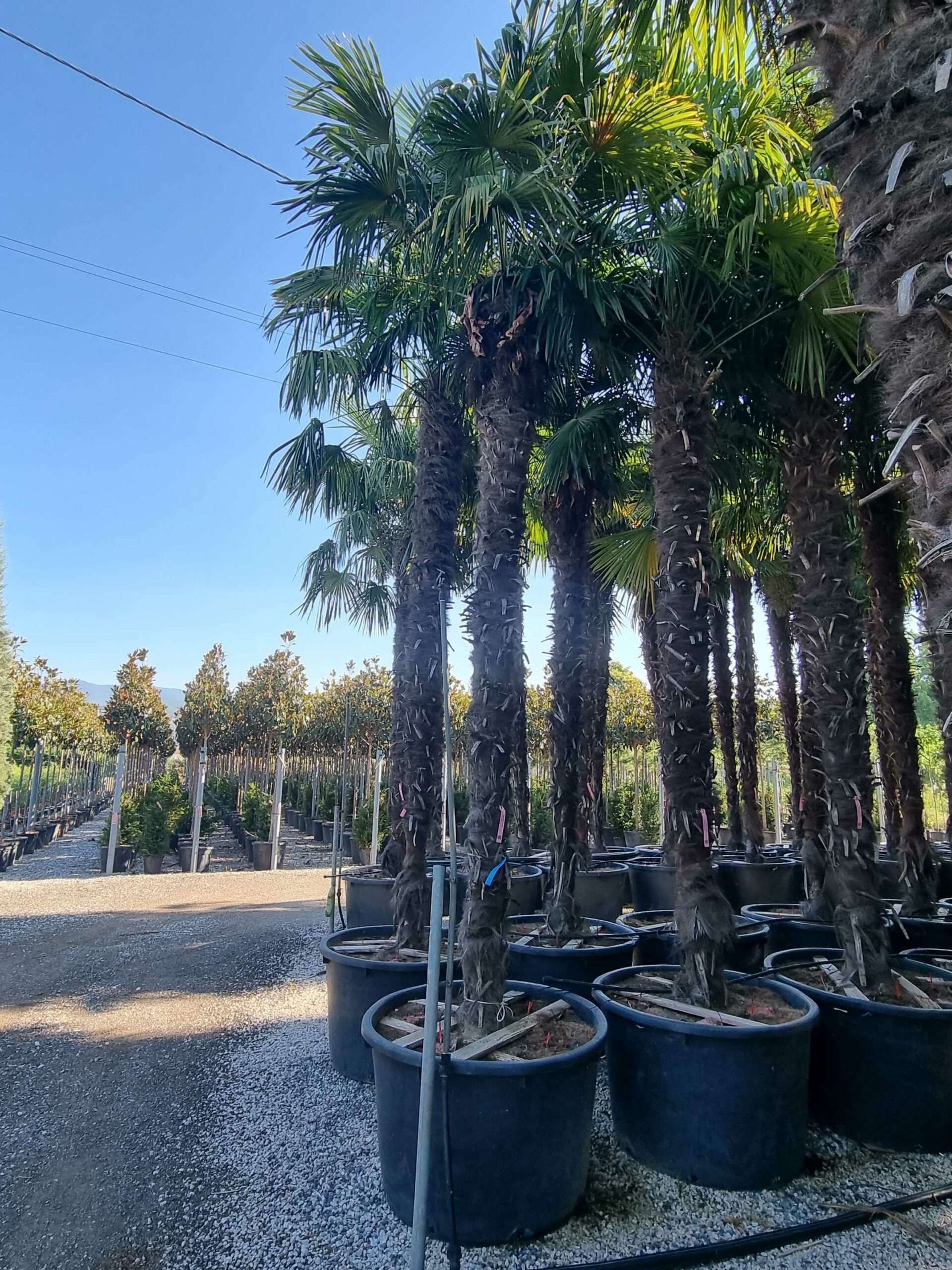 1692687478 scaled c37ae958