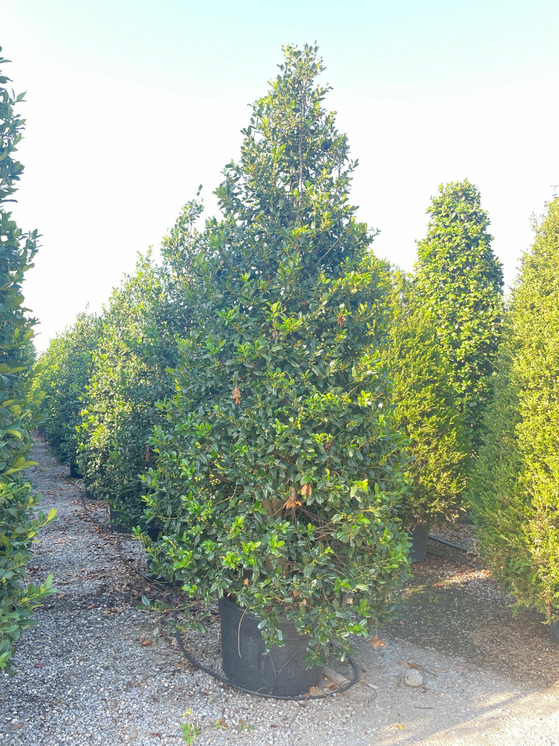 1692945354 scaled c318ef3d