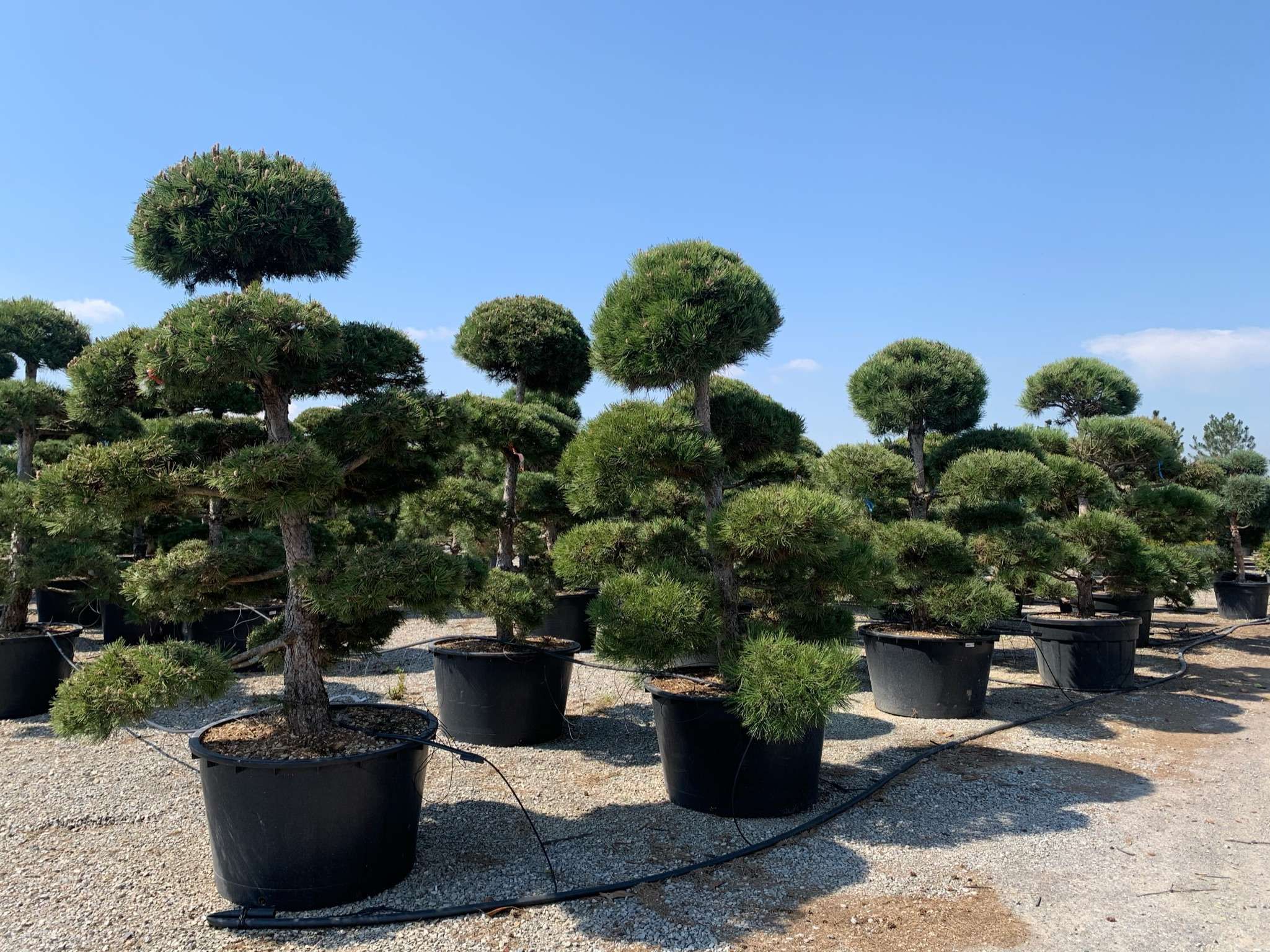 1618927680 0136182f7bf8d12ac82e13b0b9723b239a4d6a5053 c47ac1e5