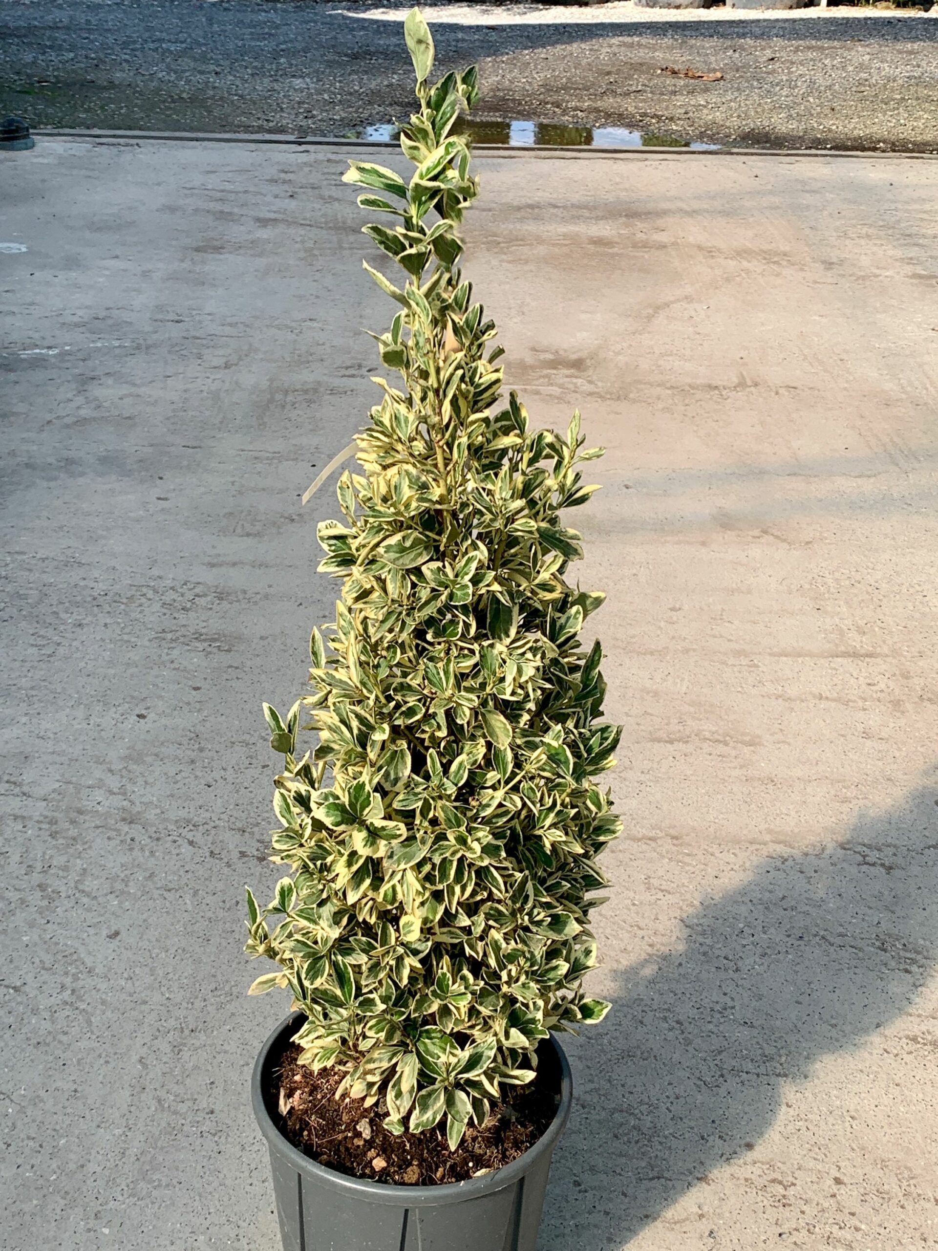 1632836533 scaled c455d44a