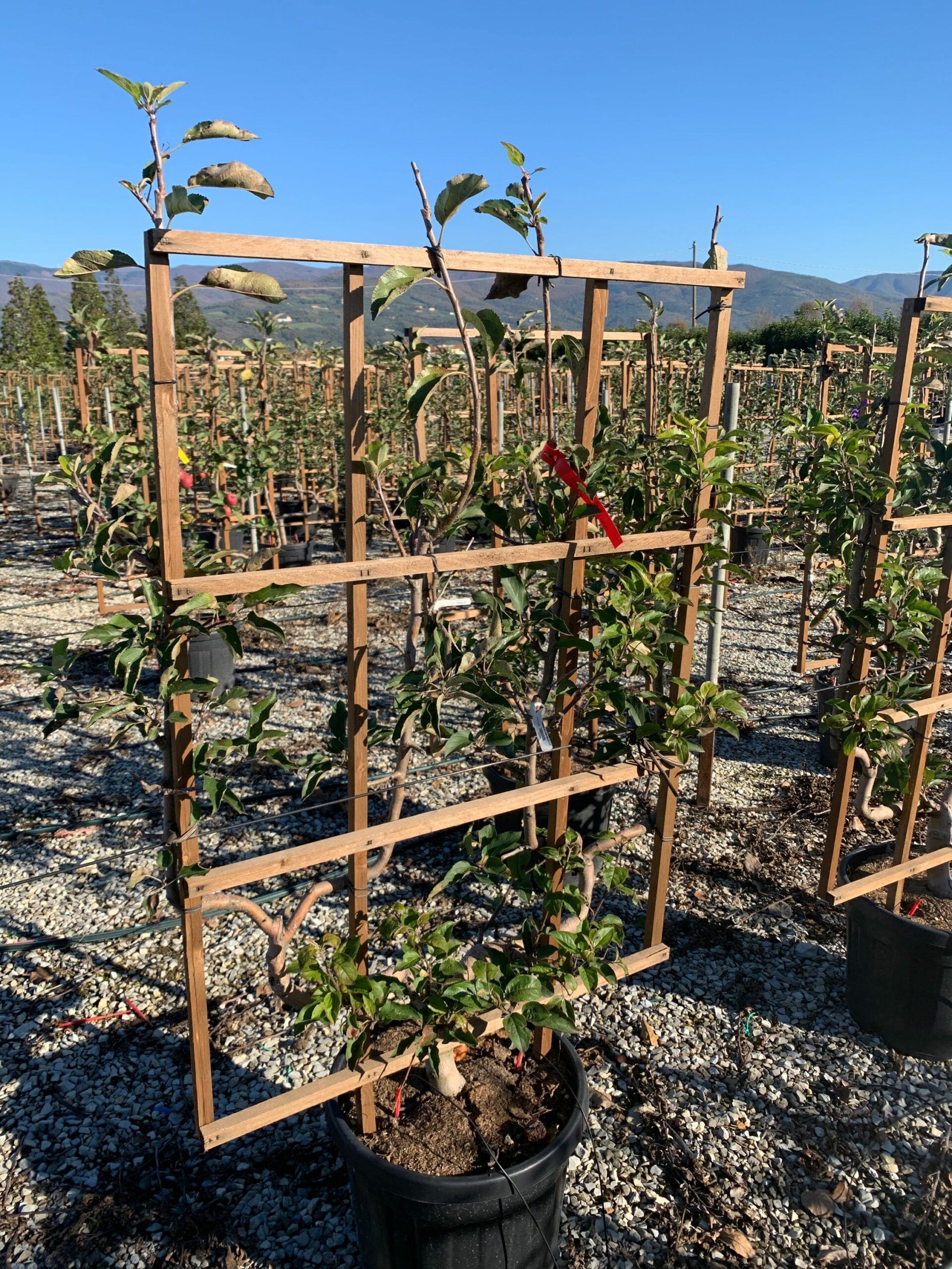 1637746155 scaled c46767ec